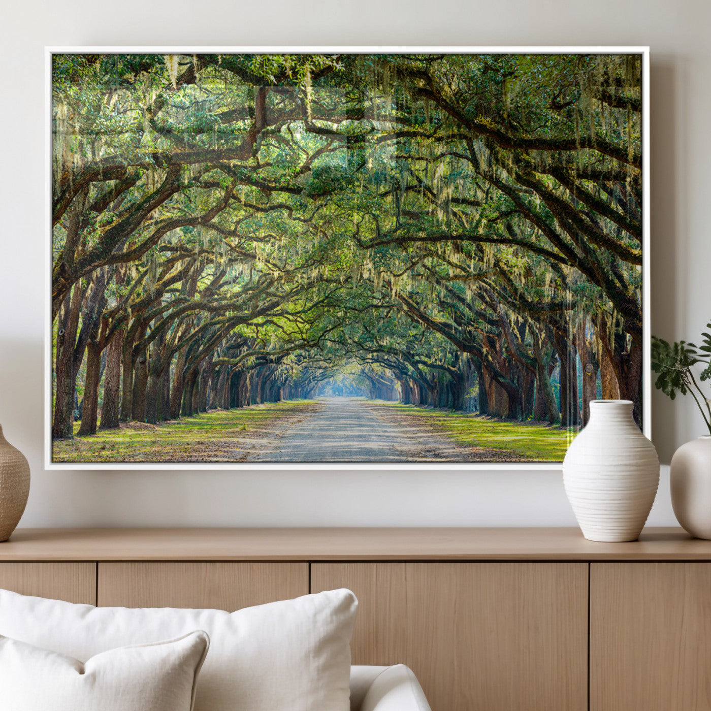 45881-MGV-FP-36X24-3P_White-Wormsloe State Plantation Driveway Wall Art Canvas Print