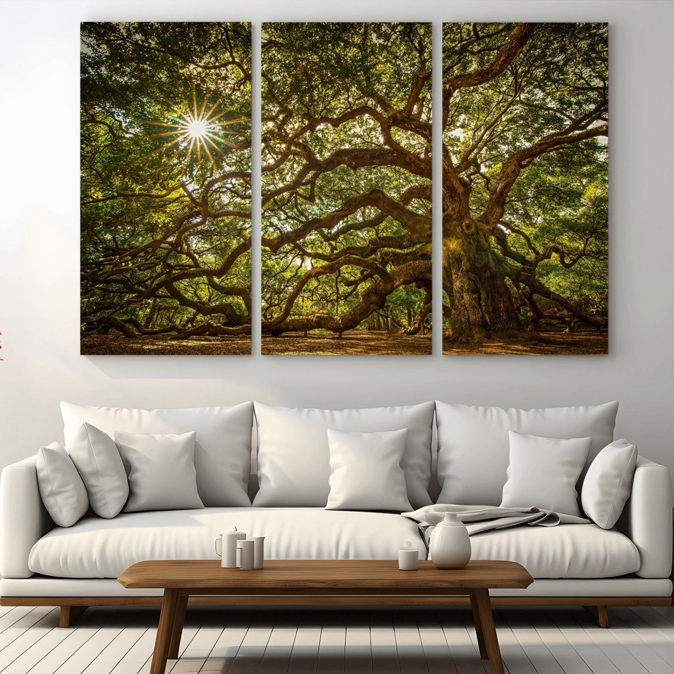 57983-MGV-CV-36X24-Ancient Angel Oak Tree Art Sunburst Canvas Print- Nature-Inspired Triptych Canvas Print, Framed,