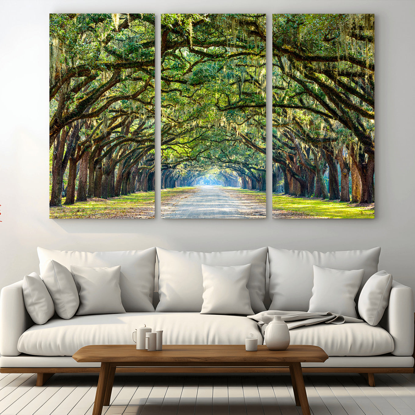 45881-MGV-CV-48X32-3P-Wormsloe State Plantation Driveway Wall Art Canvas Print