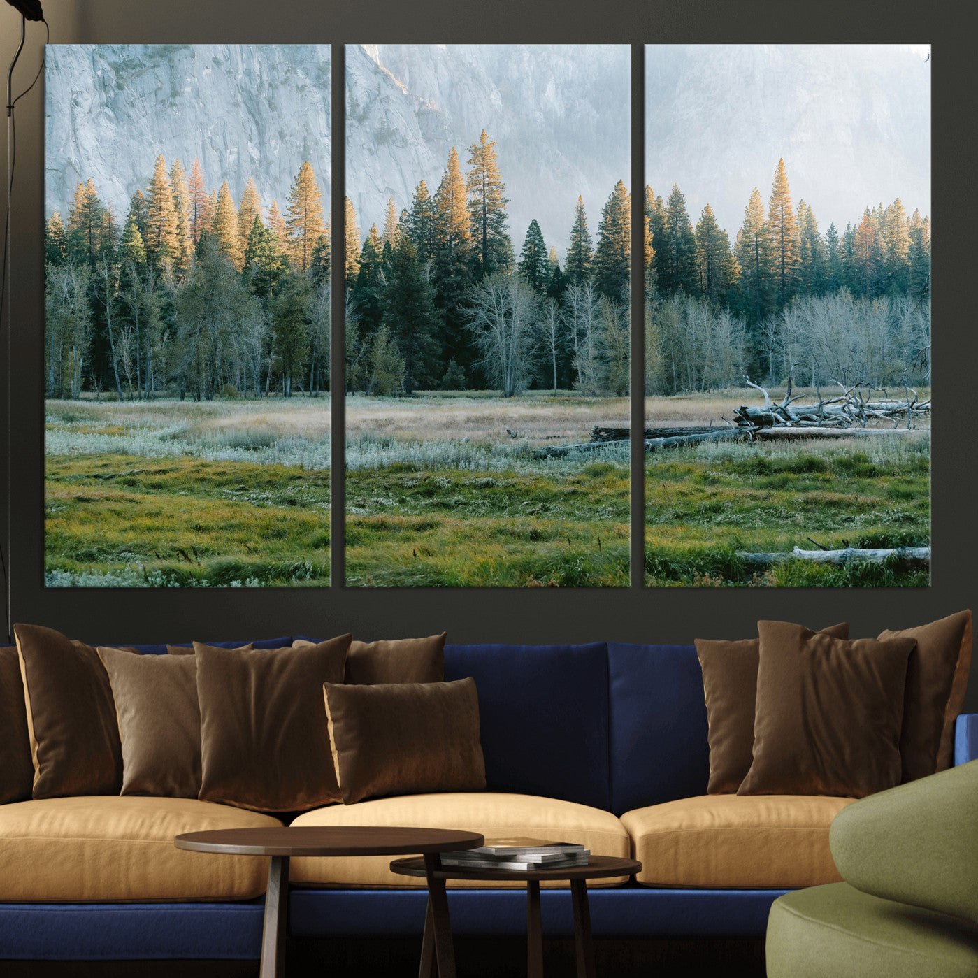 95548744-MGV-CV-36X24 - Forest Meadow Wall Art Canvas Print, Pine Tree Landscape Nature Artwork, Mountain Valley Scenic Photography, Calm Wilderness Wall Decor