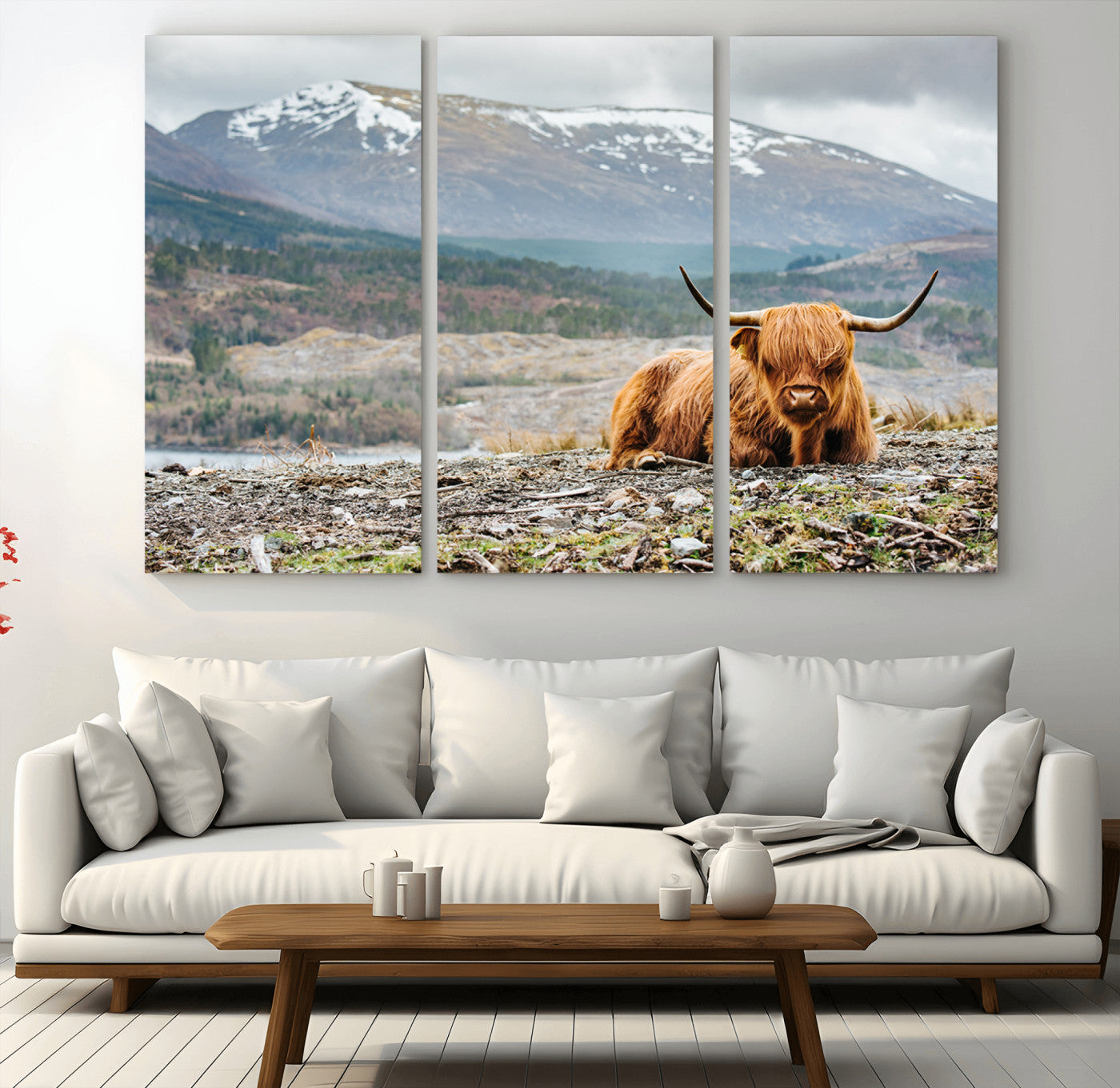 -Highland Cow Horn Farm Wall Art Canvas Print
