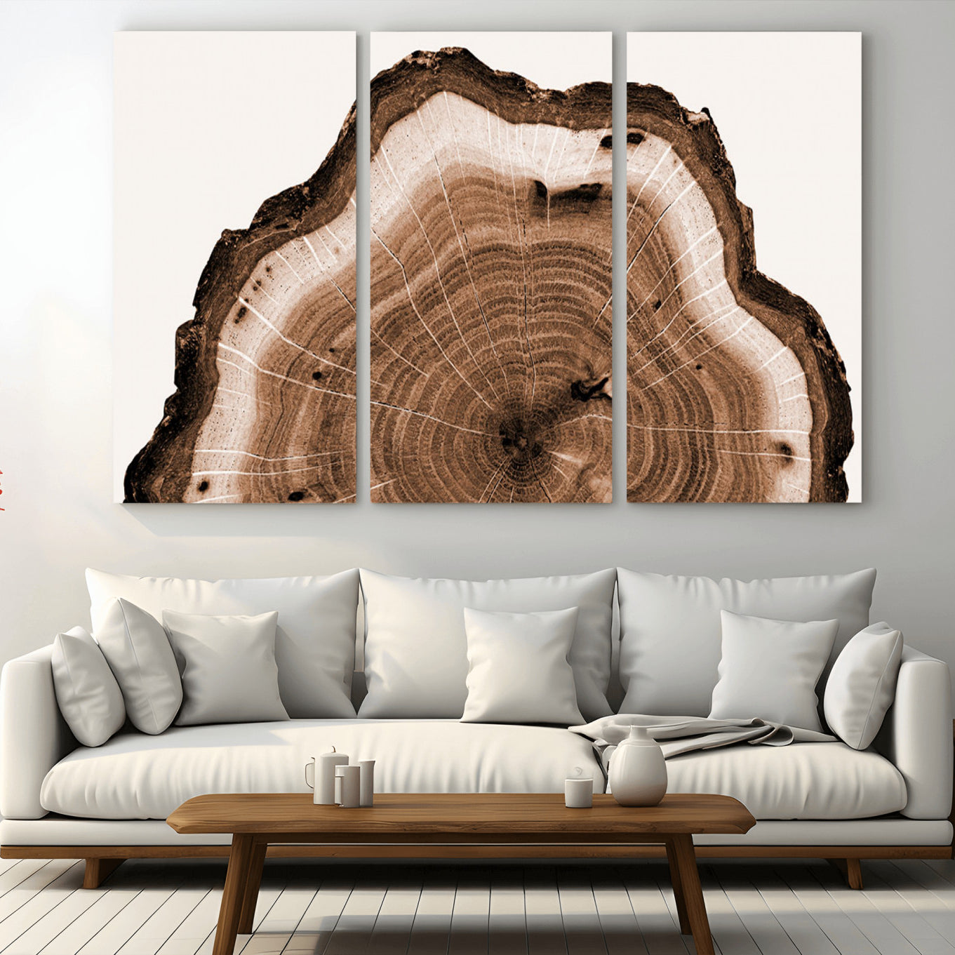 -Rustic Wood Rings Wall Art | Nature-Inspired Tree Ring Canvas Print | Ready to Hang and Framed for