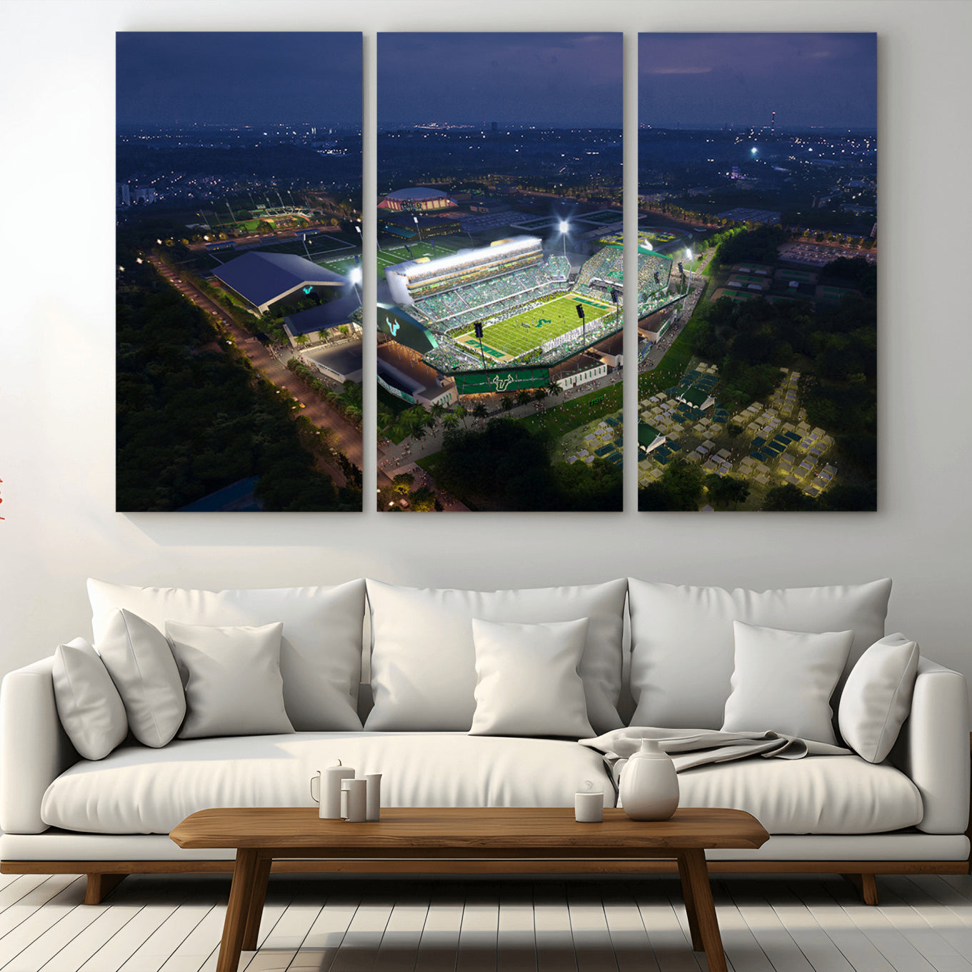 -The University of South Florida Bulls Football Team Print - Tampa USF Football Stadium Wall Art