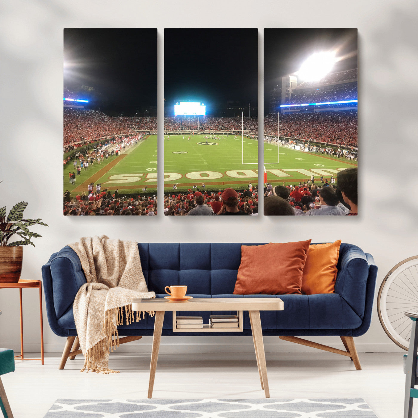 16230786-MGV-CV-36X24-Dooley Stadium Wall Art, Sports Arena Panoramic Canvas Print, Modern Stadium Landscape Artwork for Home, Office
