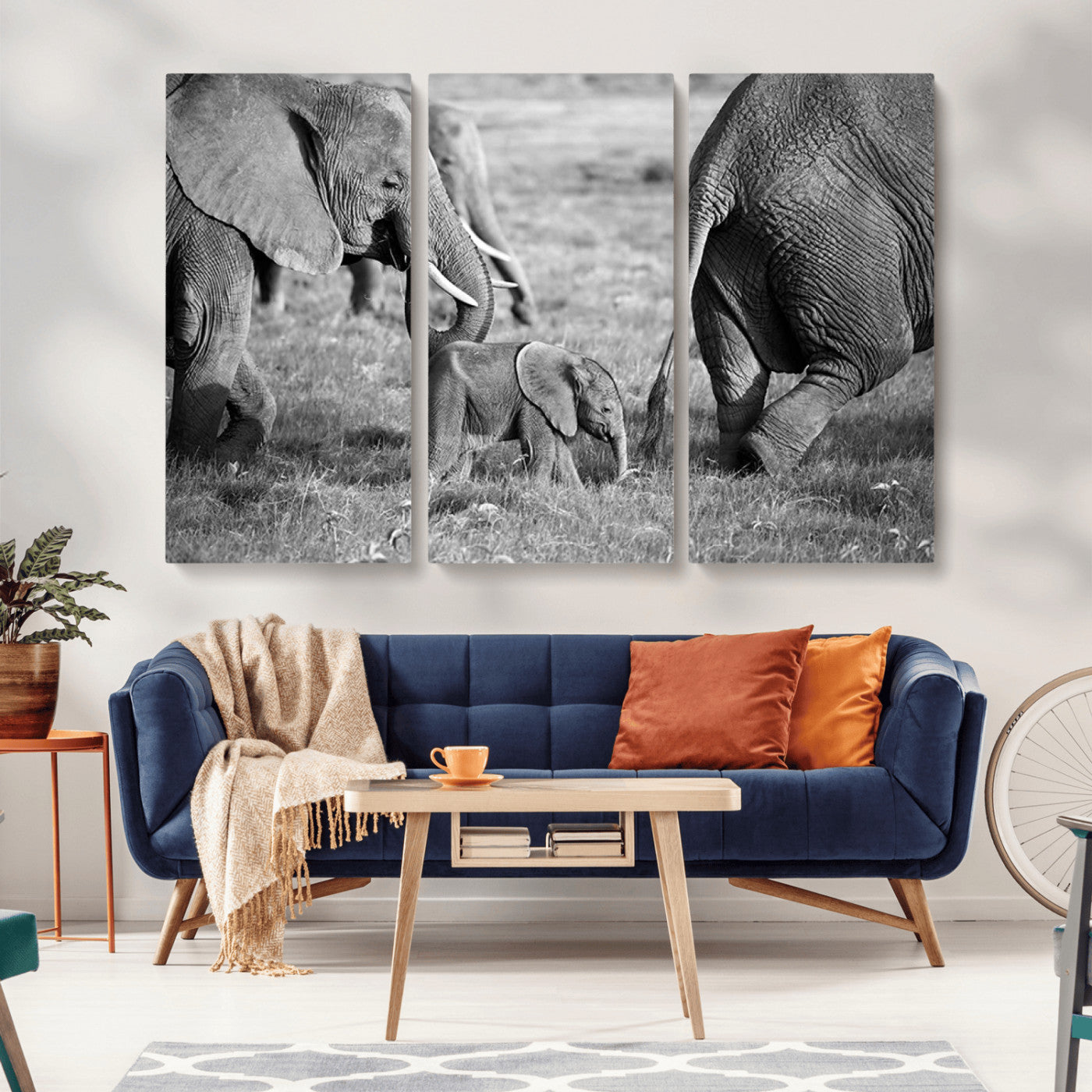 -Wild Elephant Wall Art Canvas Print