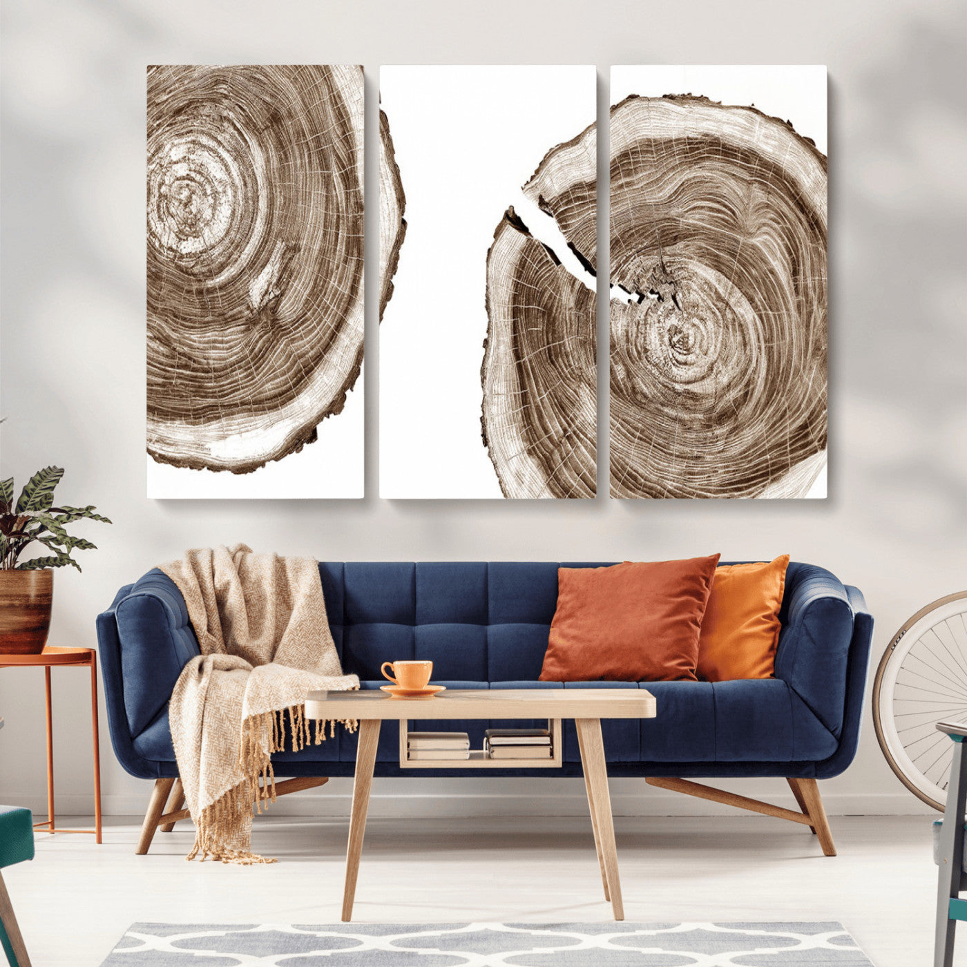43743-MGV-CV-36X24-Wood Tree Ring Wall Art Canvas Prints, Tree Rings – Minimalist Black and White Wood Art | Triptych