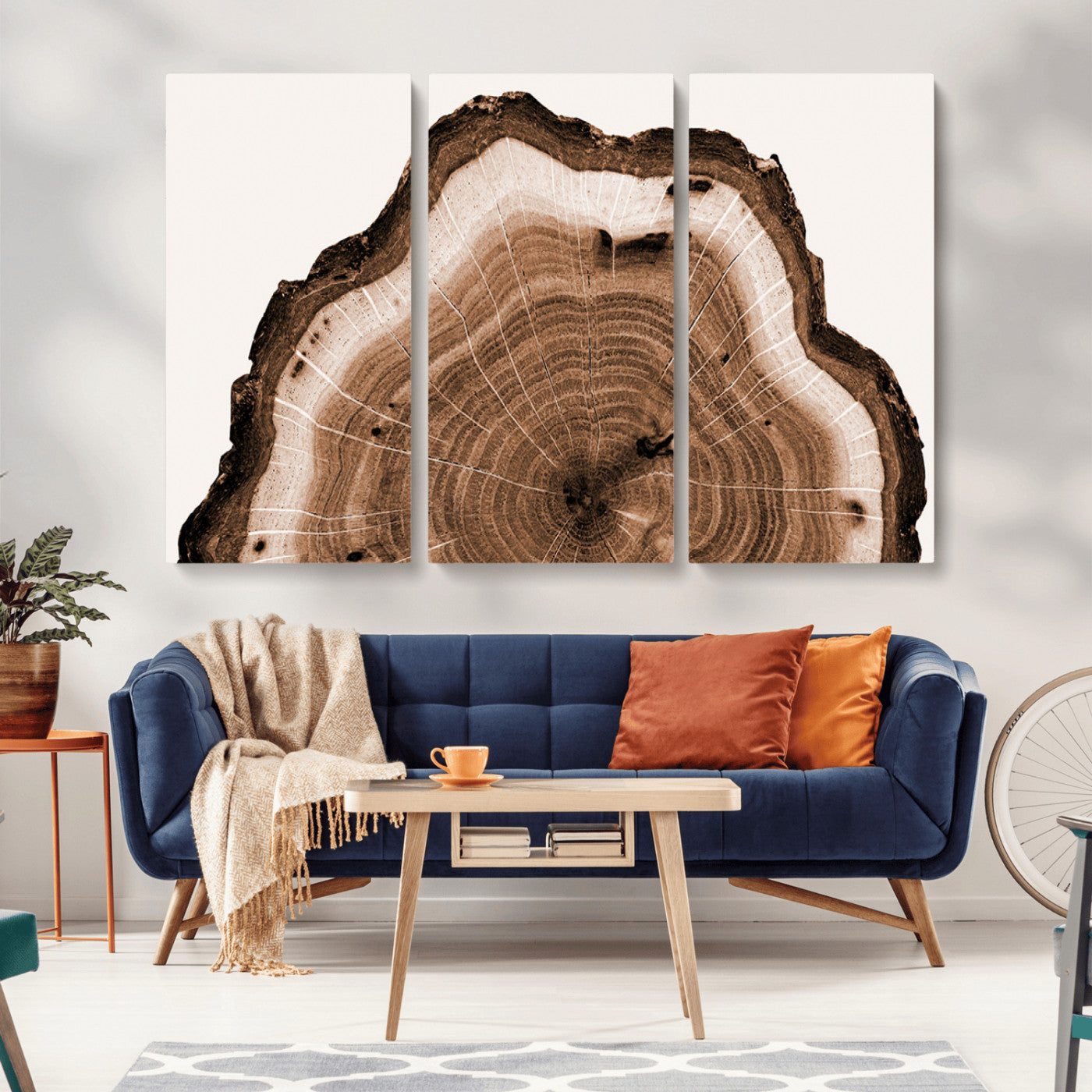 -Rustic Wood Rings Wall Art | Nature-Inspired Tree Ring Canvas Print | Ready to Hang and Framed for