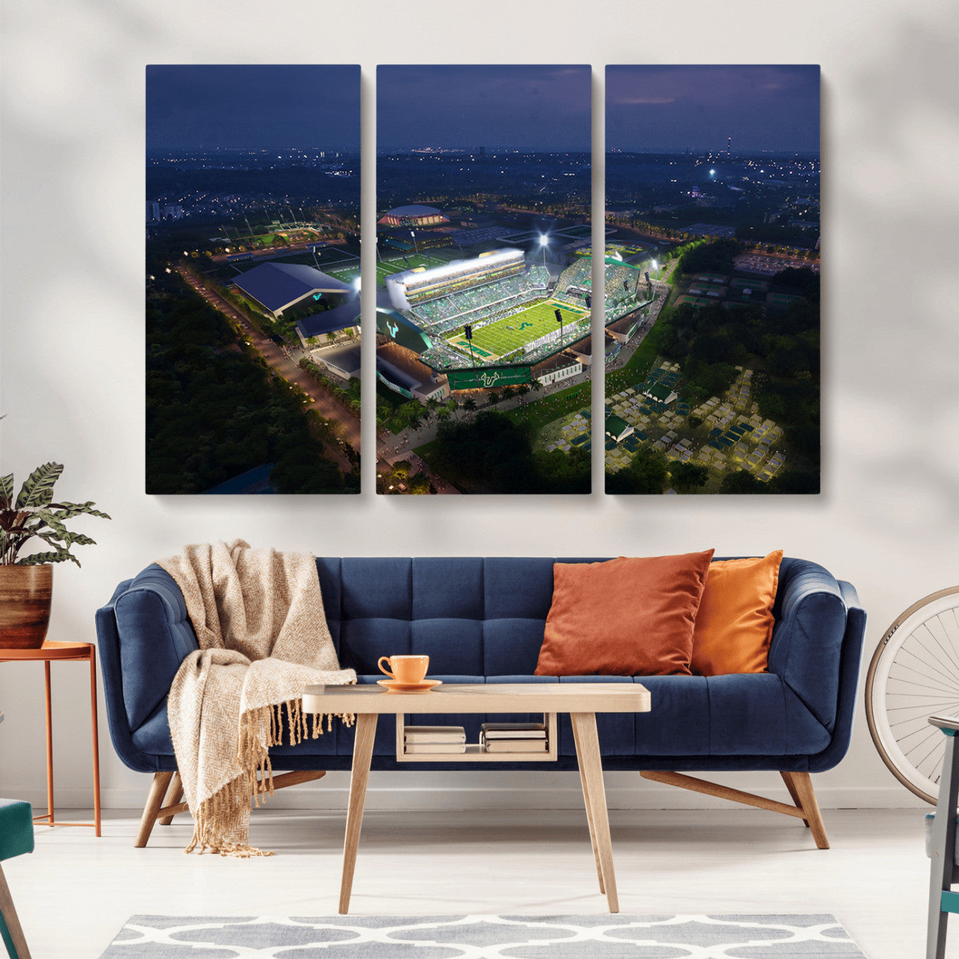 -The University of South Florida Bulls Football Team Print - Tampa USF Football Stadium Wall Art