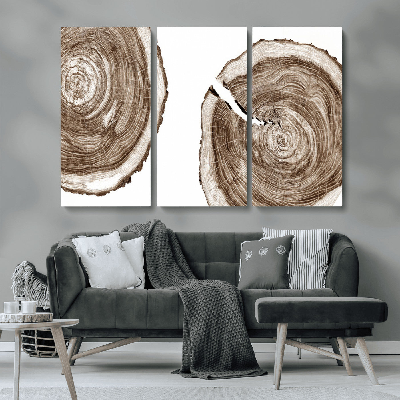 43743-MGV-CV-36X24-Wood Tree Ring Wall Art Canvas Prints, Tree Rings – Minimalist Black and White Wood Art | Triptych