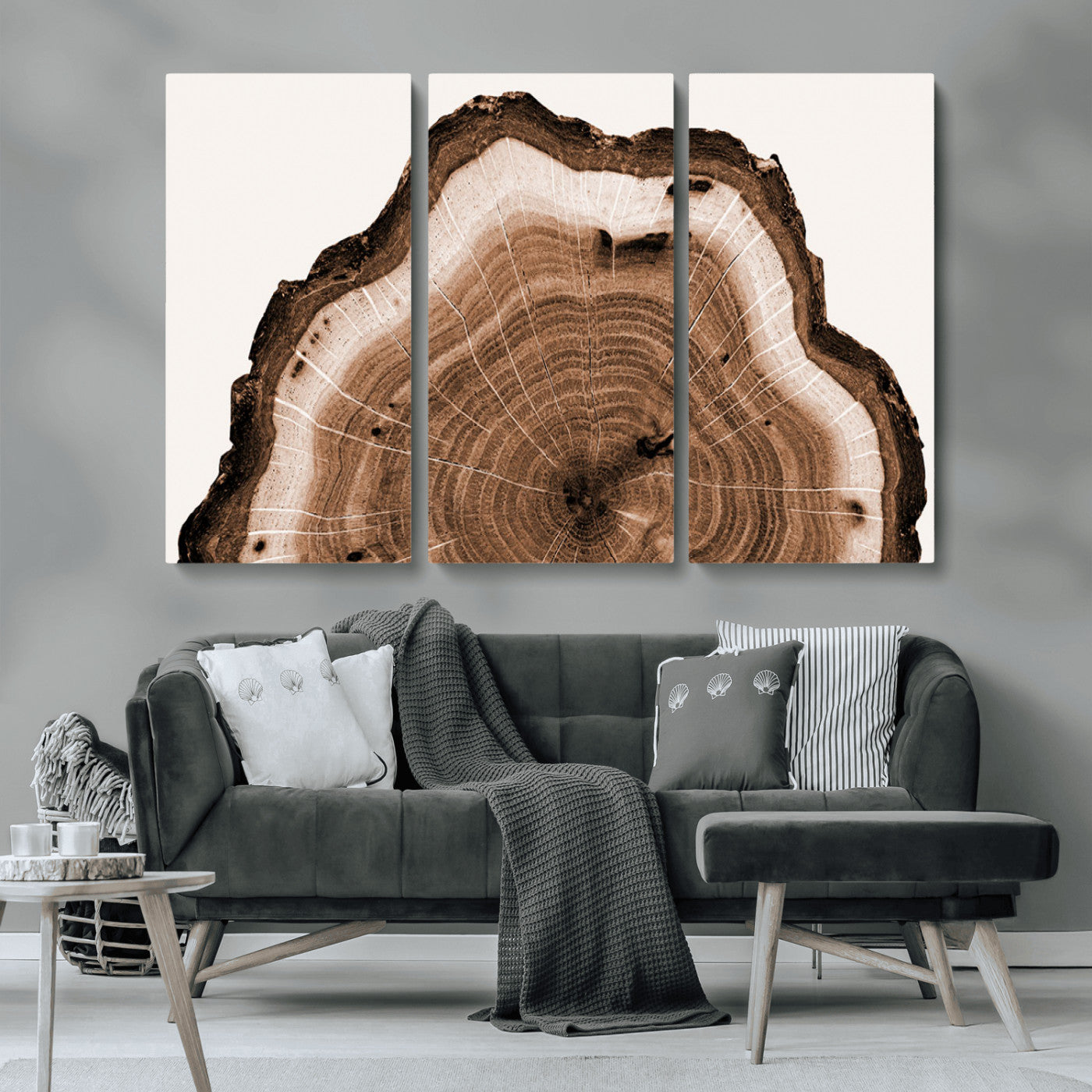 -Rustic Wood Rings Wall Art | Nature-Inspired Tree Ring Canvas Print | Ready to Hang and Framed for