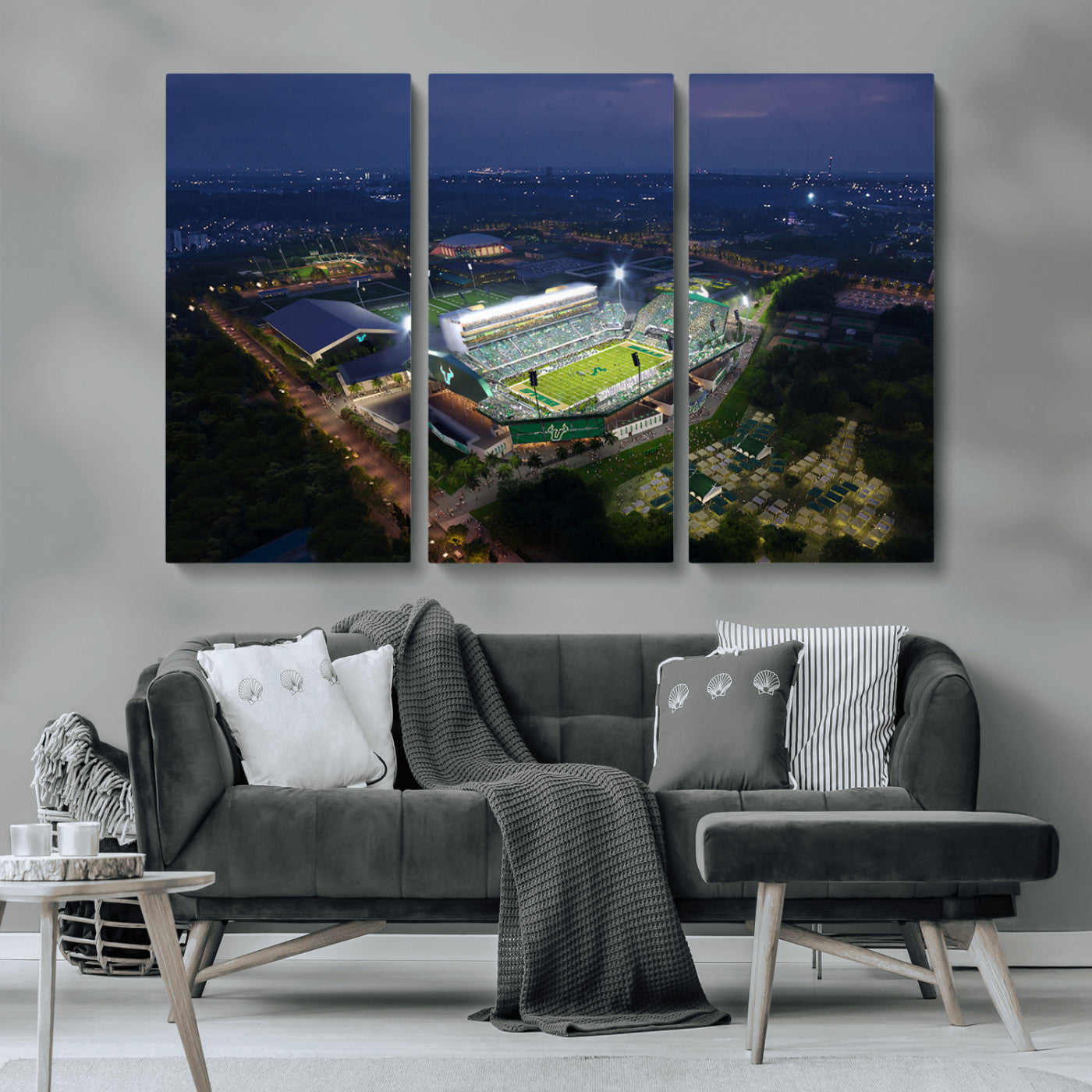 -The University of South Florida Bulls Football Team Print - Tampa USF Football Stadium Wall Art