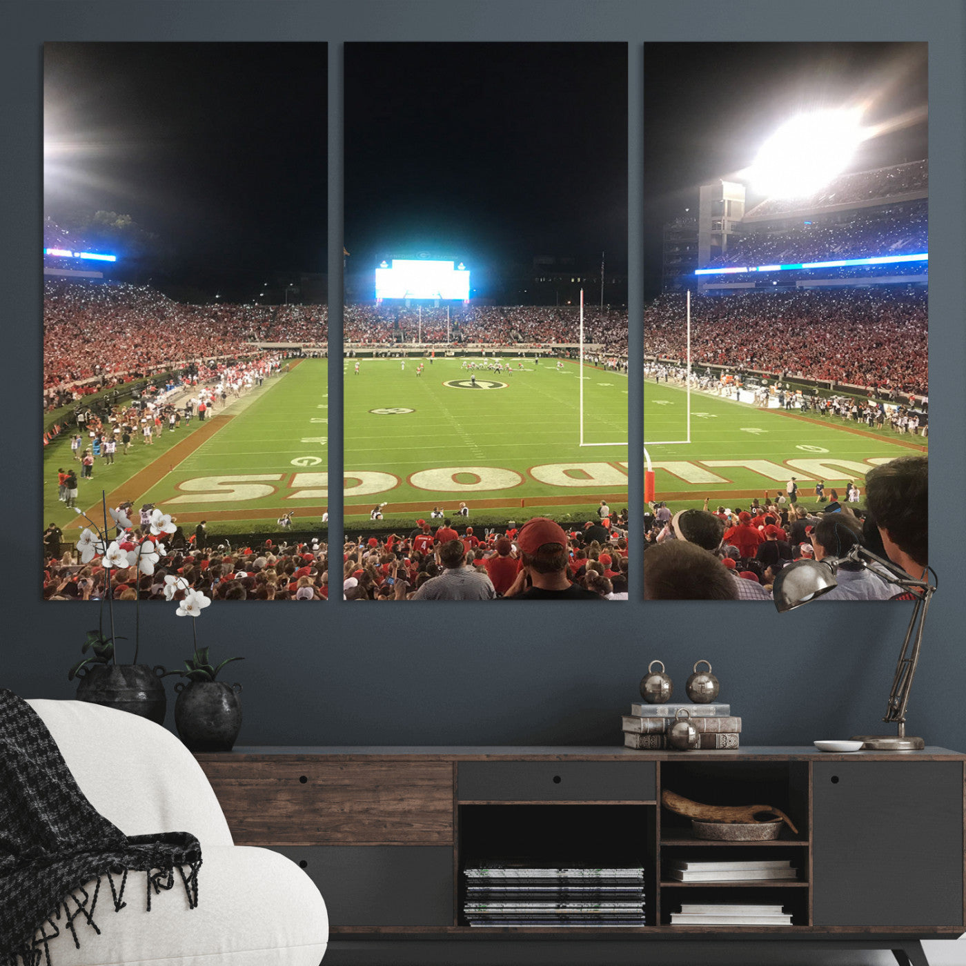 16230786-MGV-CV-36X24-Dooley Stadium Wall Art, Sports Arena Panoramic Canvas Print, Modern Stadium Landscape Artwork for Home, Office
