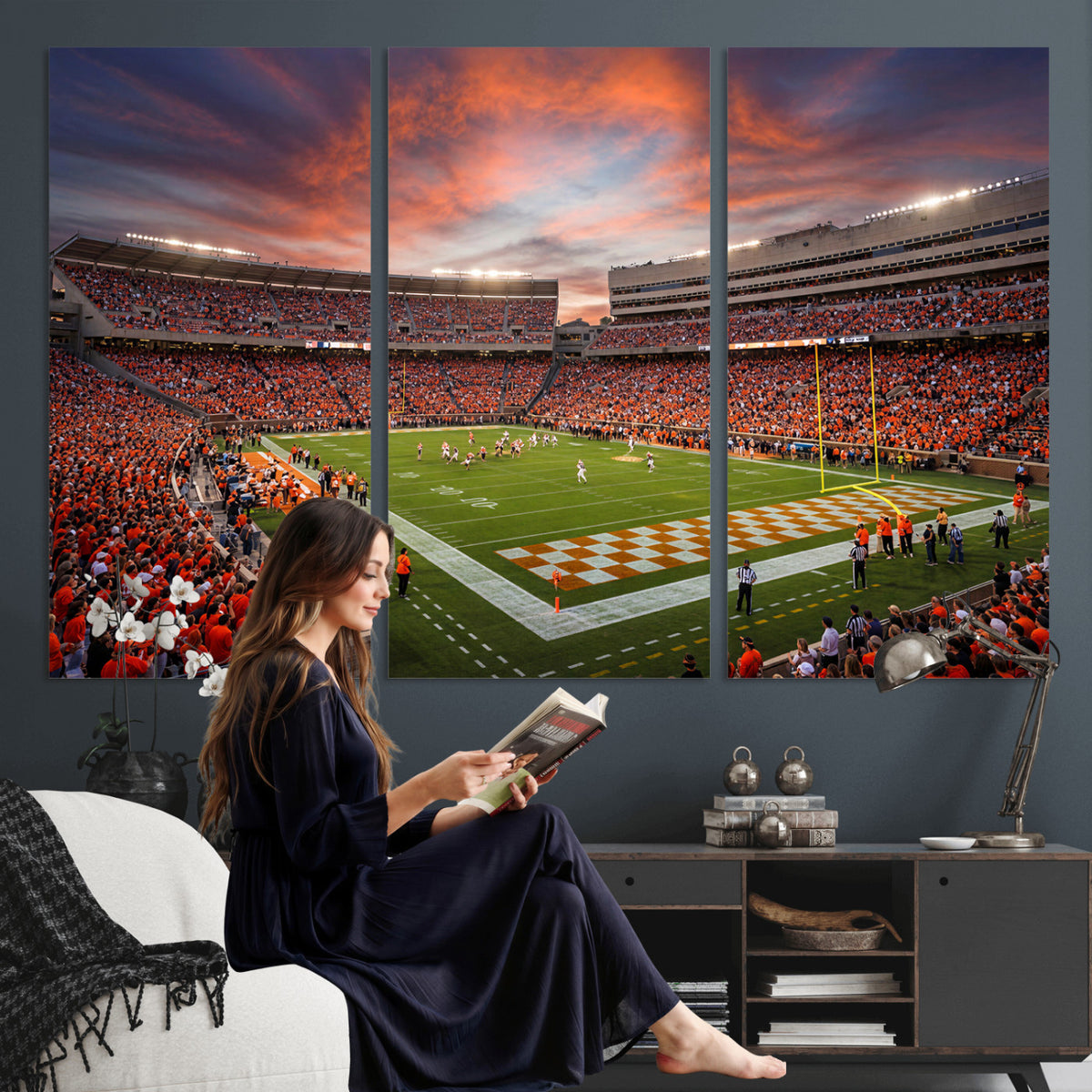 67648335-MGV-CV-36X24 - Stadium Wall Art Canvas Print