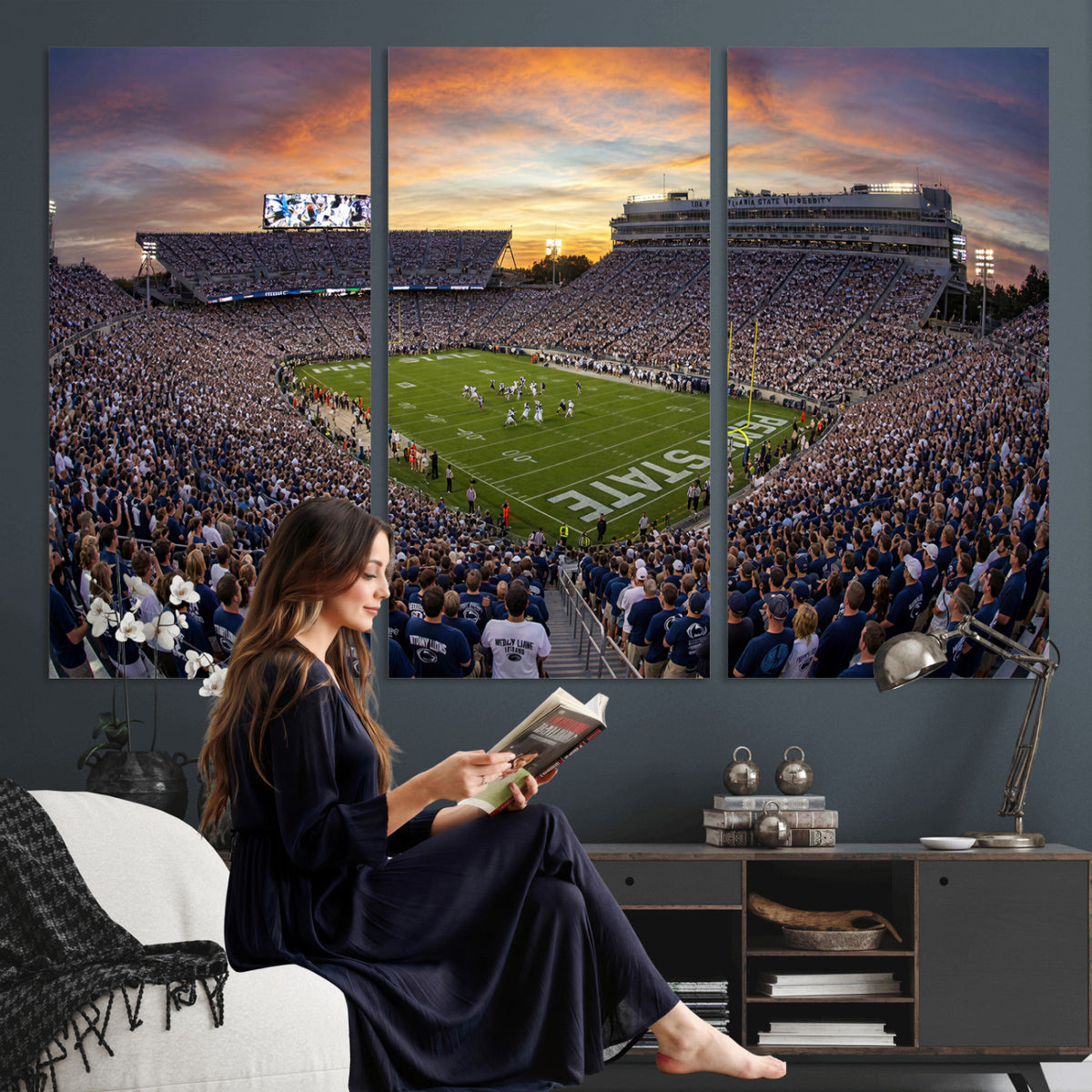 29008668-MGV-CV-36X24 - Stadium Wall Art Canvas Print