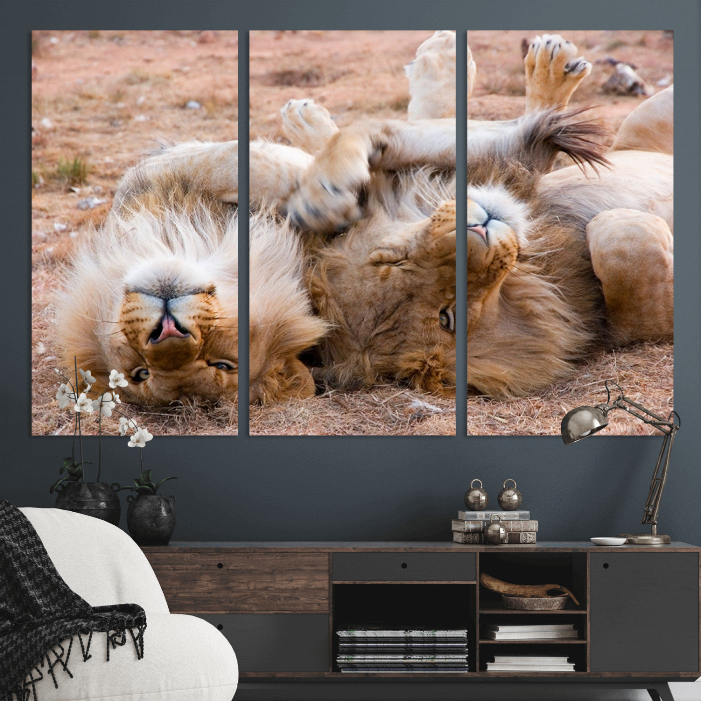 -Lion Pair Wall Art Canvas Print – Framed Wildlife Scene with Playful Lions Artwork for Home, Office, Living Room