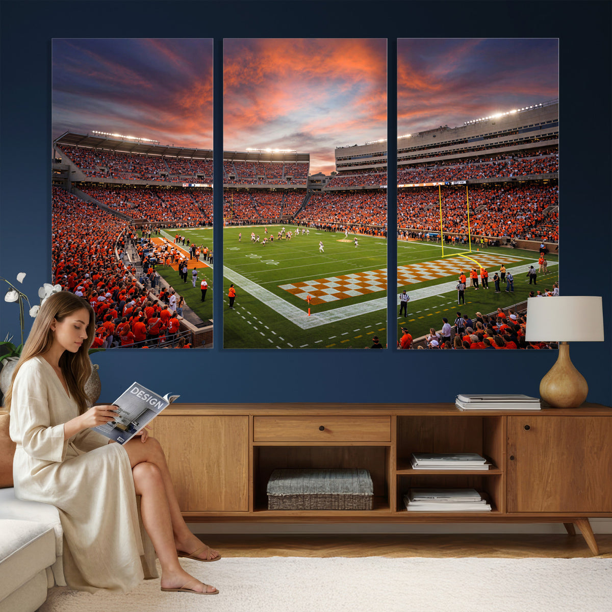 67648335-MGV-CV-36X24 - Stadium Wall Art Canvas Print