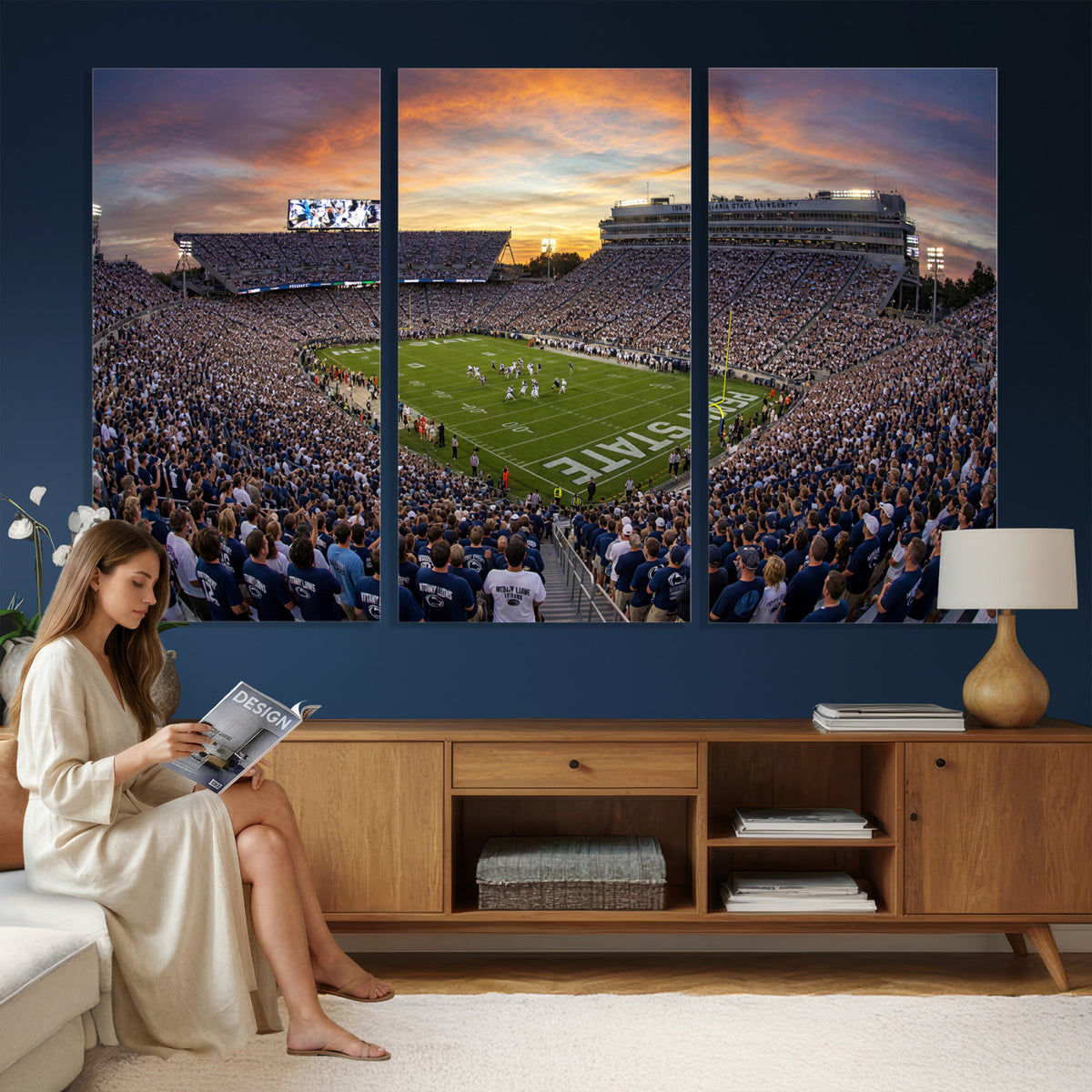 29008668-MGV-CV-36X24 - Stadium Wall Art Canvas Print
