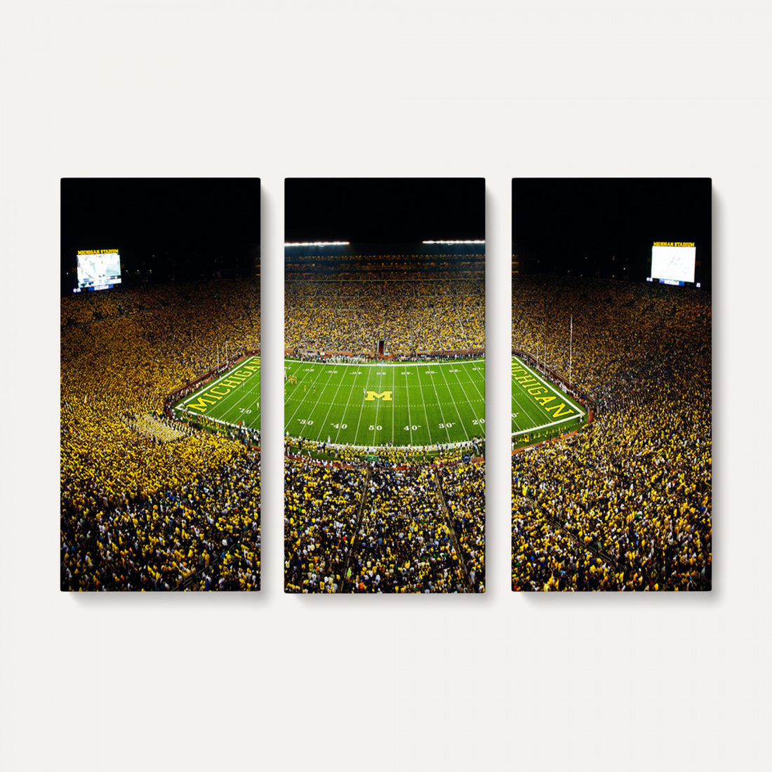 Stadium in Michigan Wall Art Canvas Print, Framed American Football Stadium Art