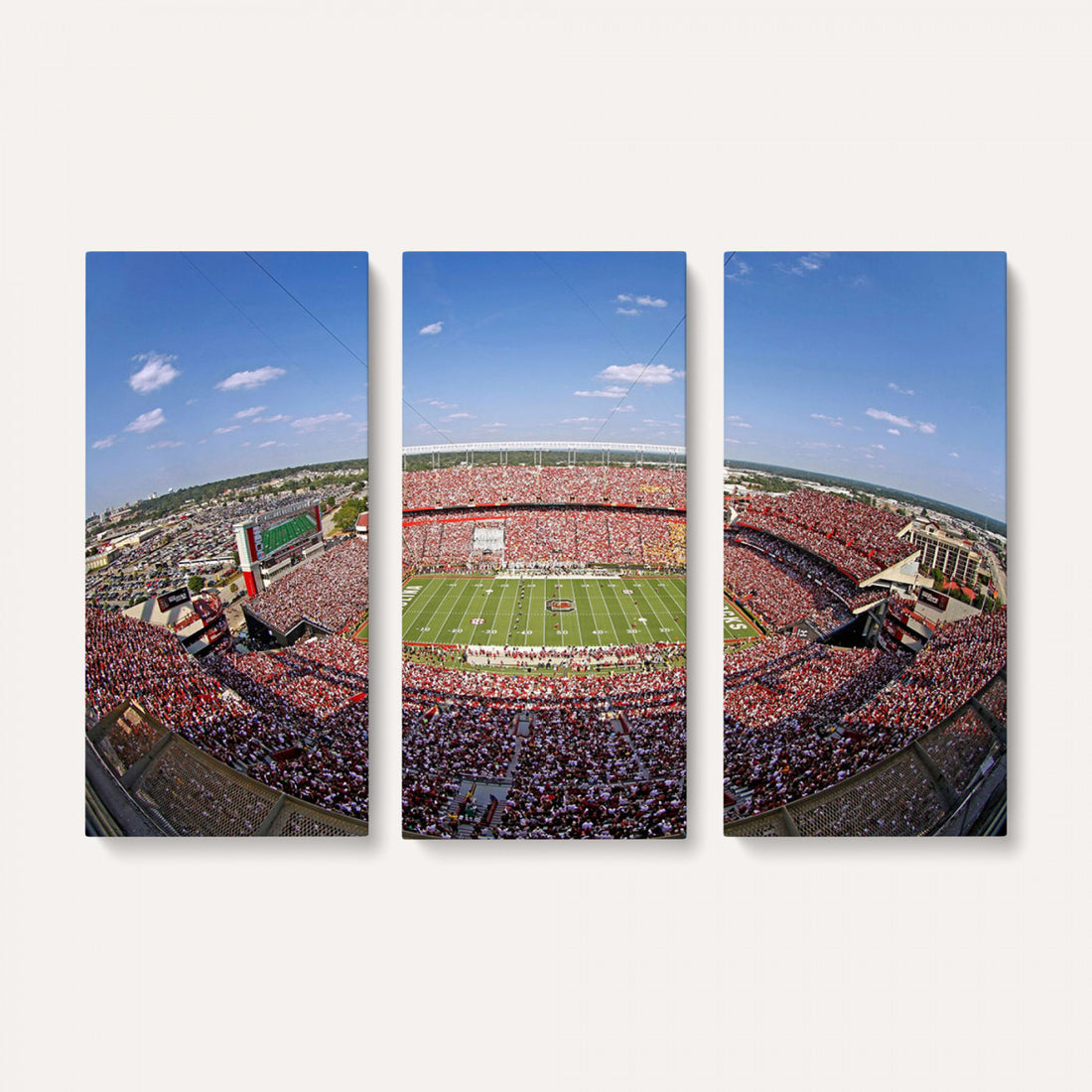 William Brice Stadium Wall Art Canvas Print, Stadium Crowd on Football Game Day