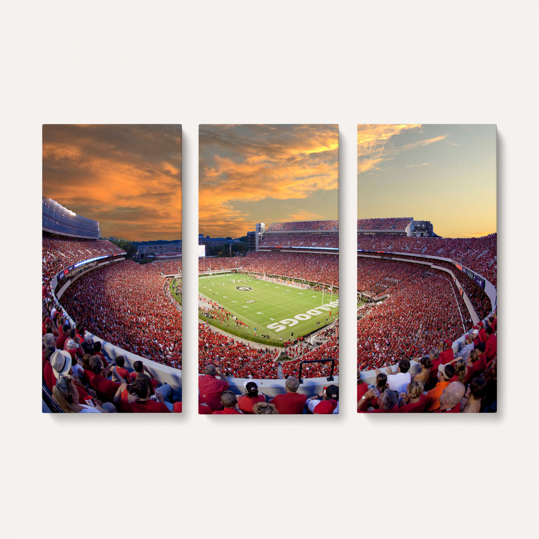 Dooley Stadium Wall Art, Sports Arena Canvas Print, Dooley Field, Framed and Ready to Hang
