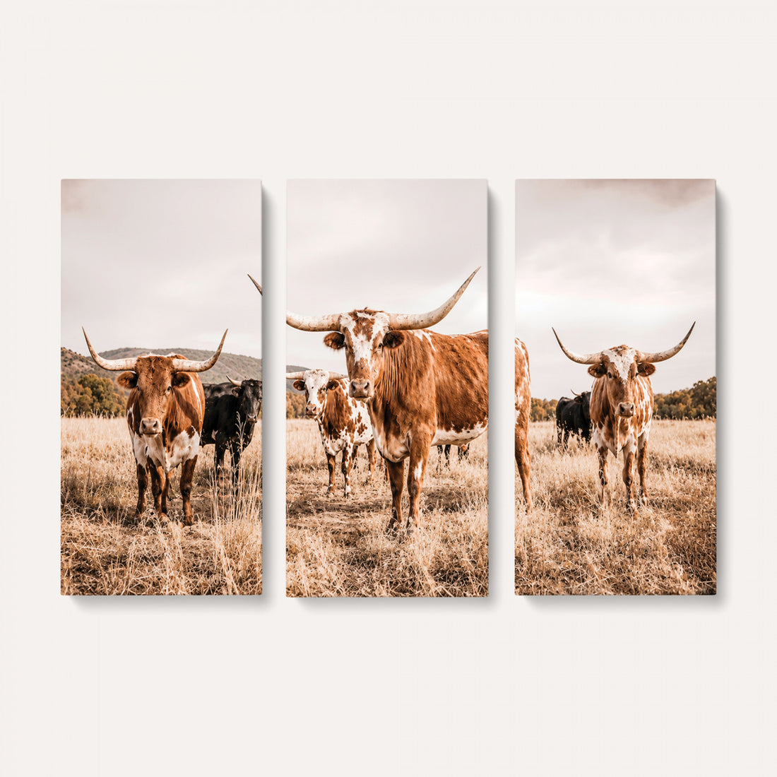 Texas Longhorn Cattle Wall Art Canvas Print, Sepia Western Decor