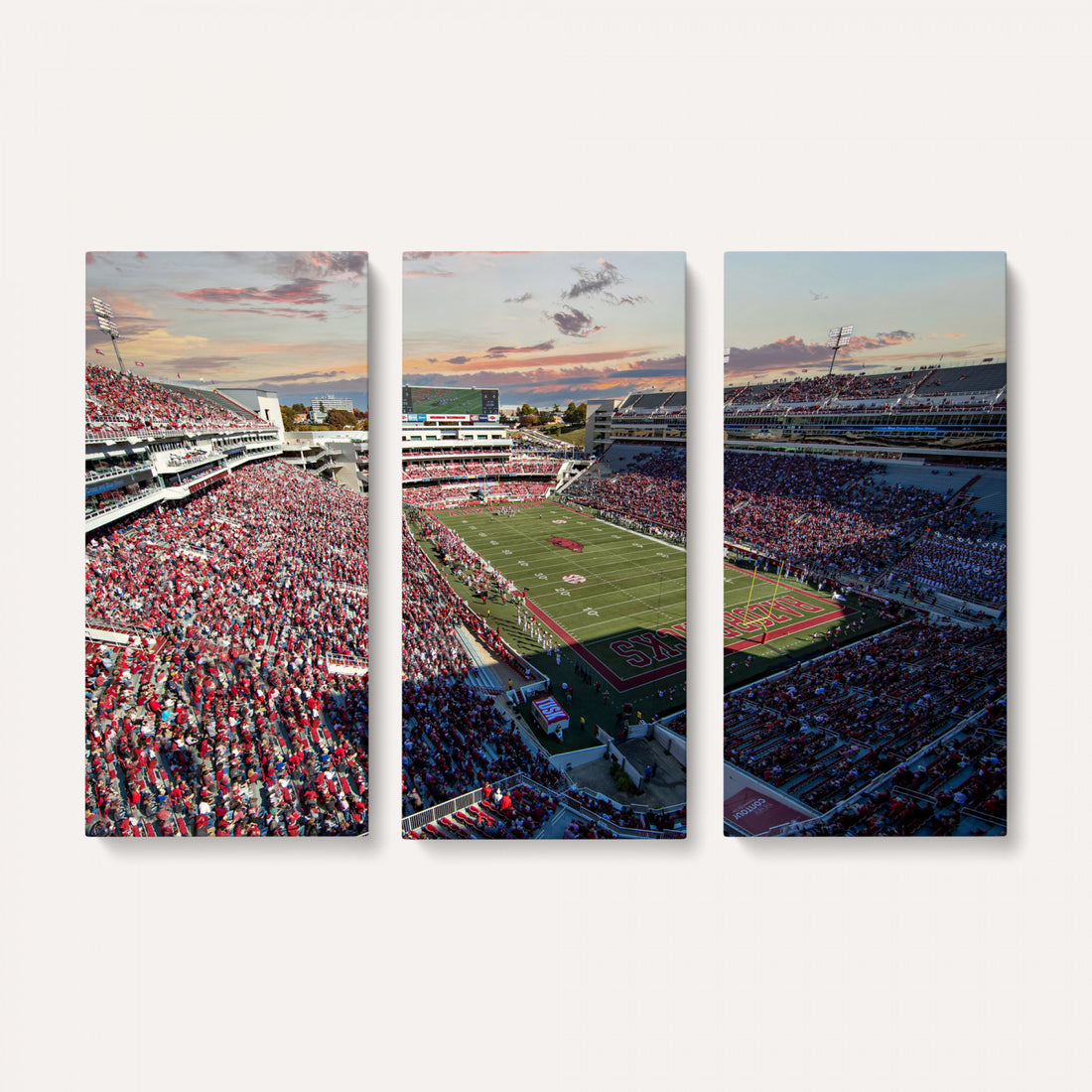 Donald W. Reynolds Razorback Stadium Wall Art Canvas Print, Framed and Ready to Hang