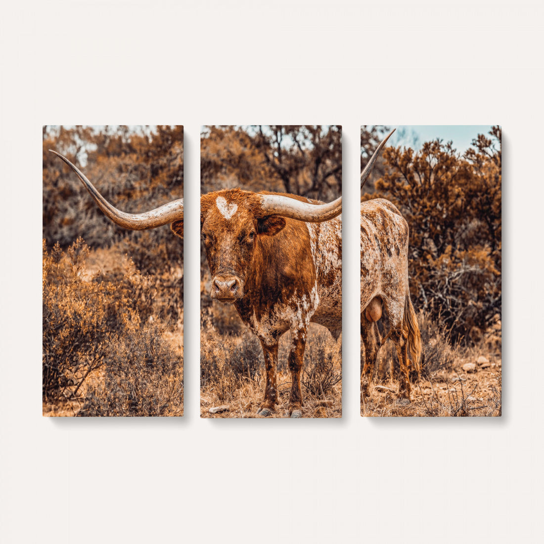 Texas Cow Bull Longhorn Print, Western Wall Art for Farmhouse Decor