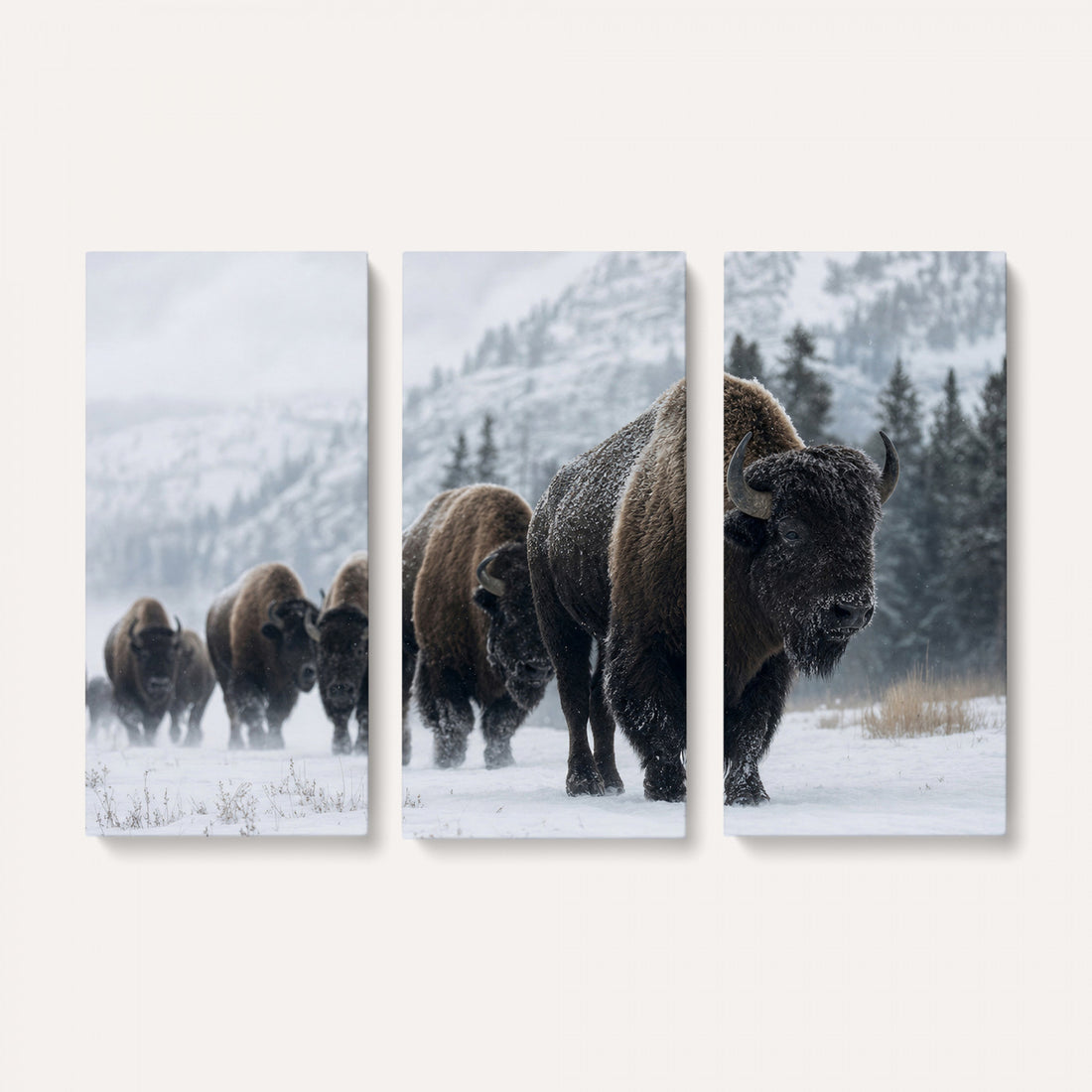 Rustic Bison Wall Art, American Buffalo Photo Print, Wildlife Canvas