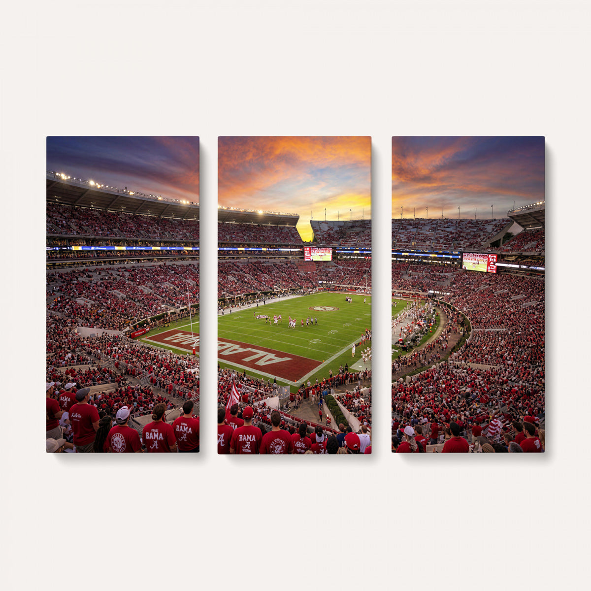 41995919-MGV-CV-36X24 - Stadium Wall Art Canvas Print