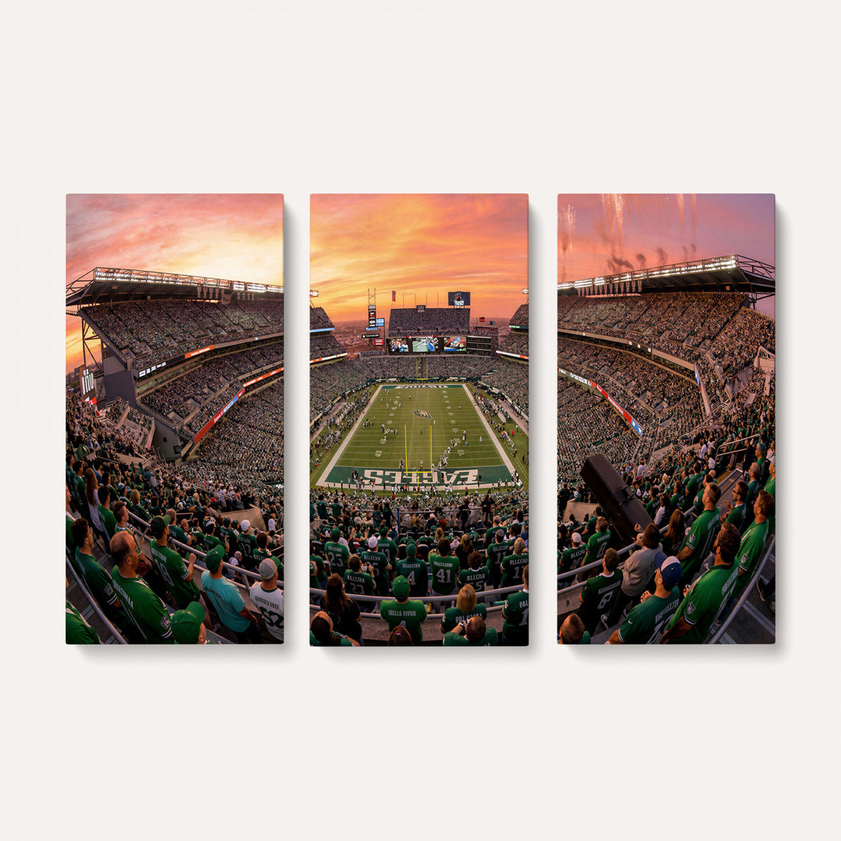 24458374-MGV-CV-36X24 - Stadium Wall Art Canvas Print