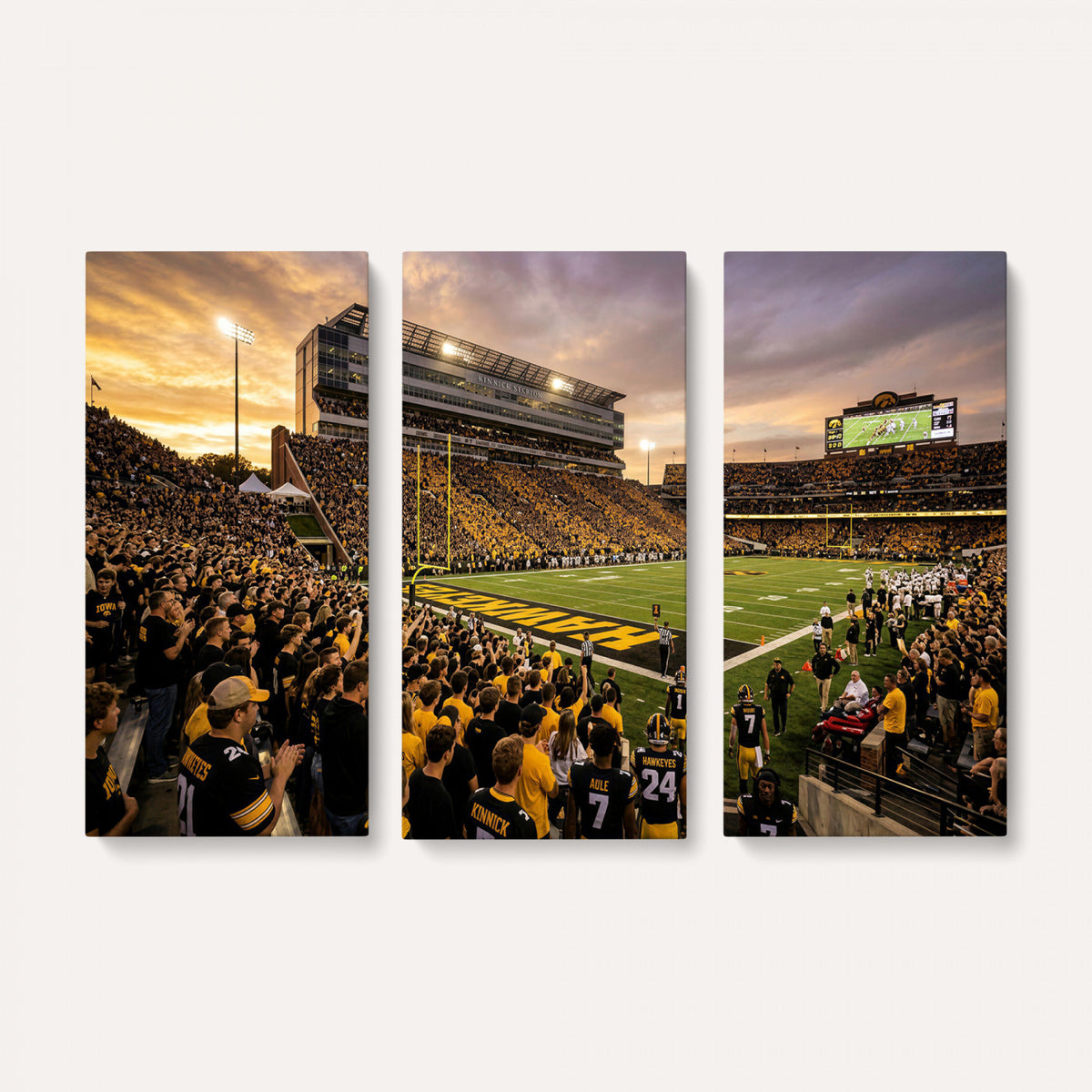 60847729-MGV-CV-36X24 - Stadium Wall Art Canvas Print