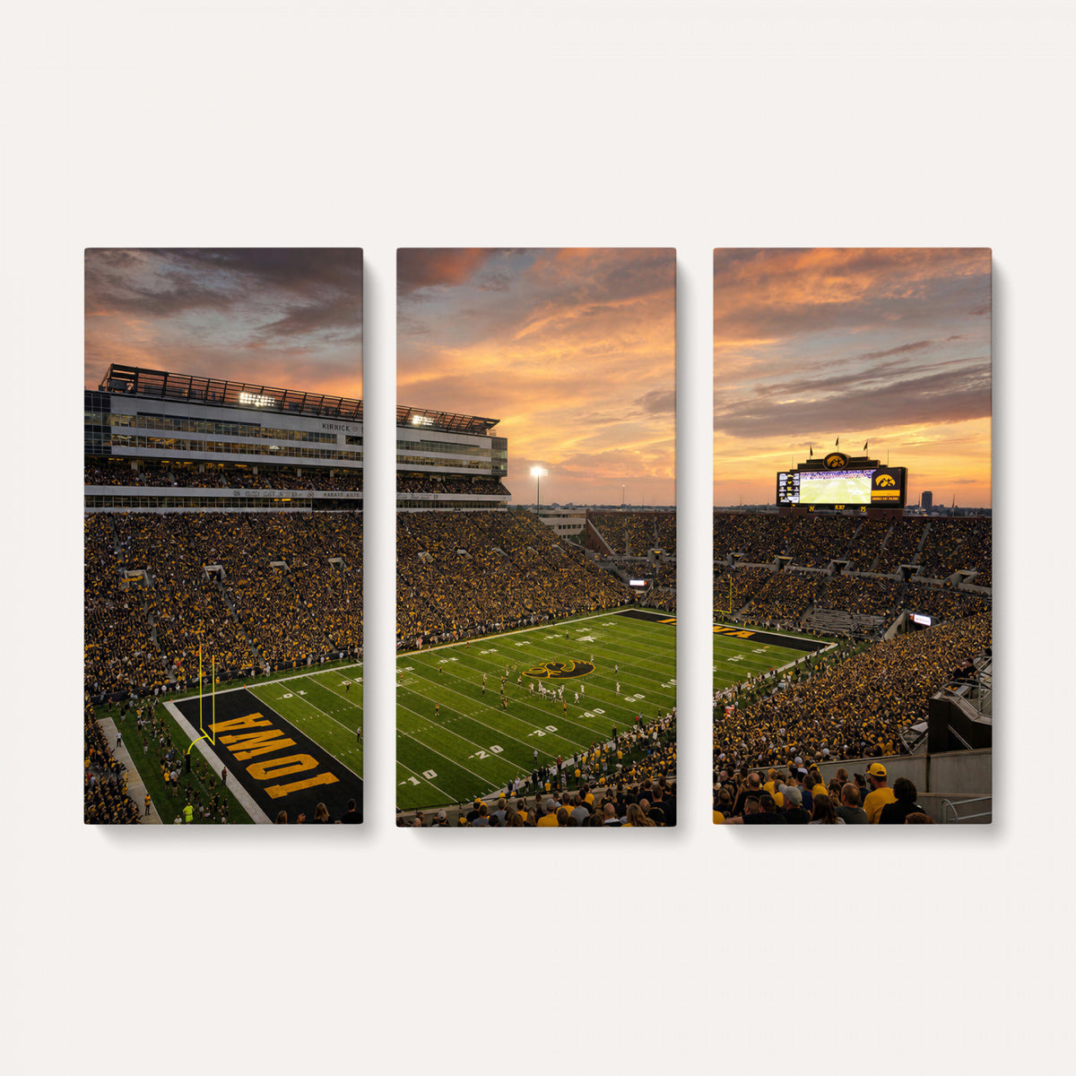 84993181-MGV-CV-36X24 - Stadium Wall Art Canvas Print