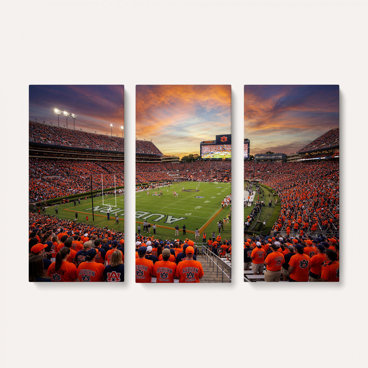 46347891-MGV-CV-36X24 - Stadium Wall Art Canvas Print