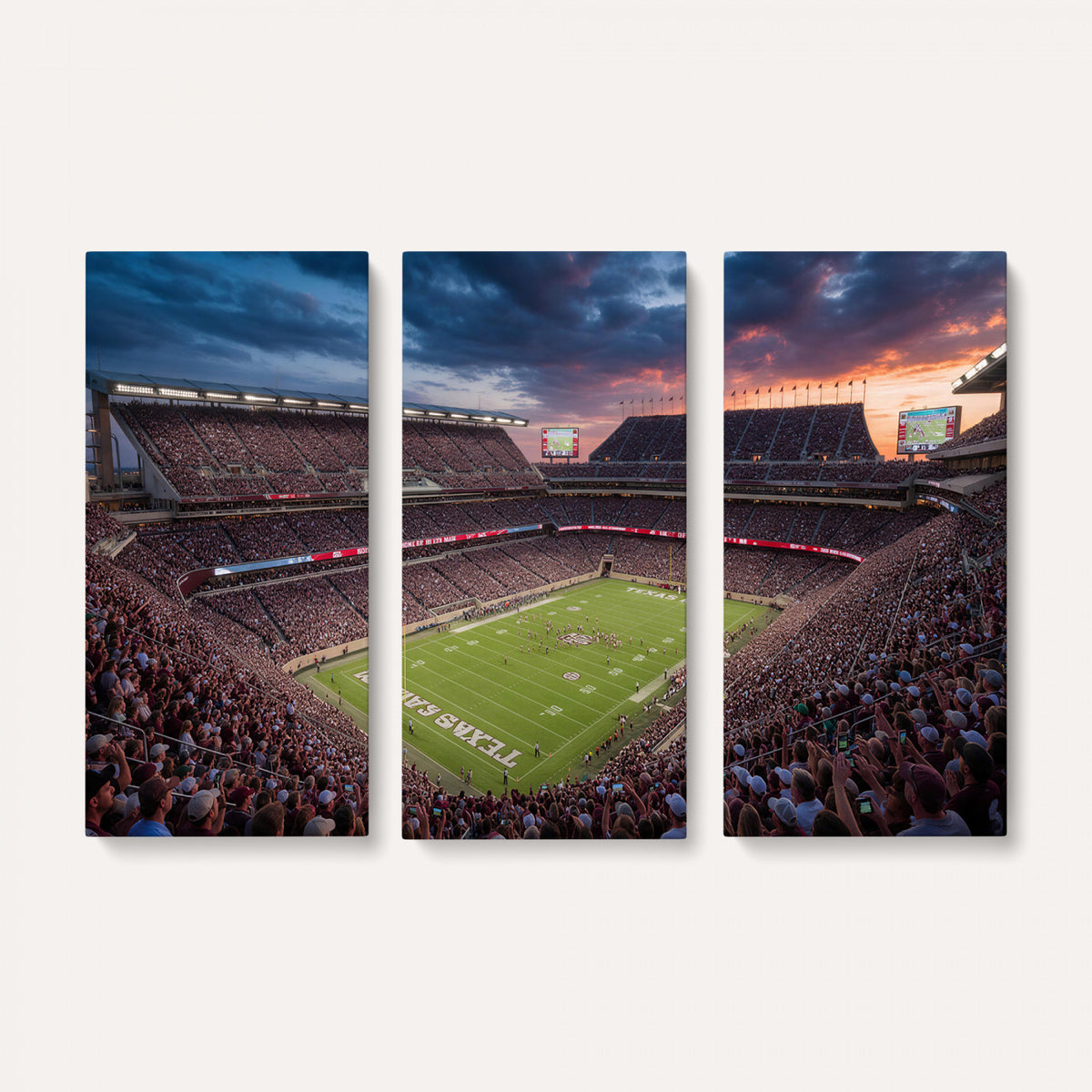 55475837-MGV-CV-36X24 - Stadium Wall Art Canvas Print