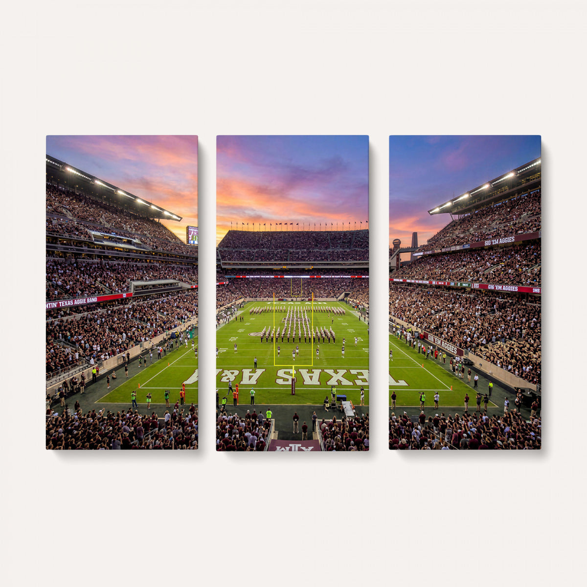 65952219-MGV-CV-36X24 - Stadium Wall Art Canvas Print