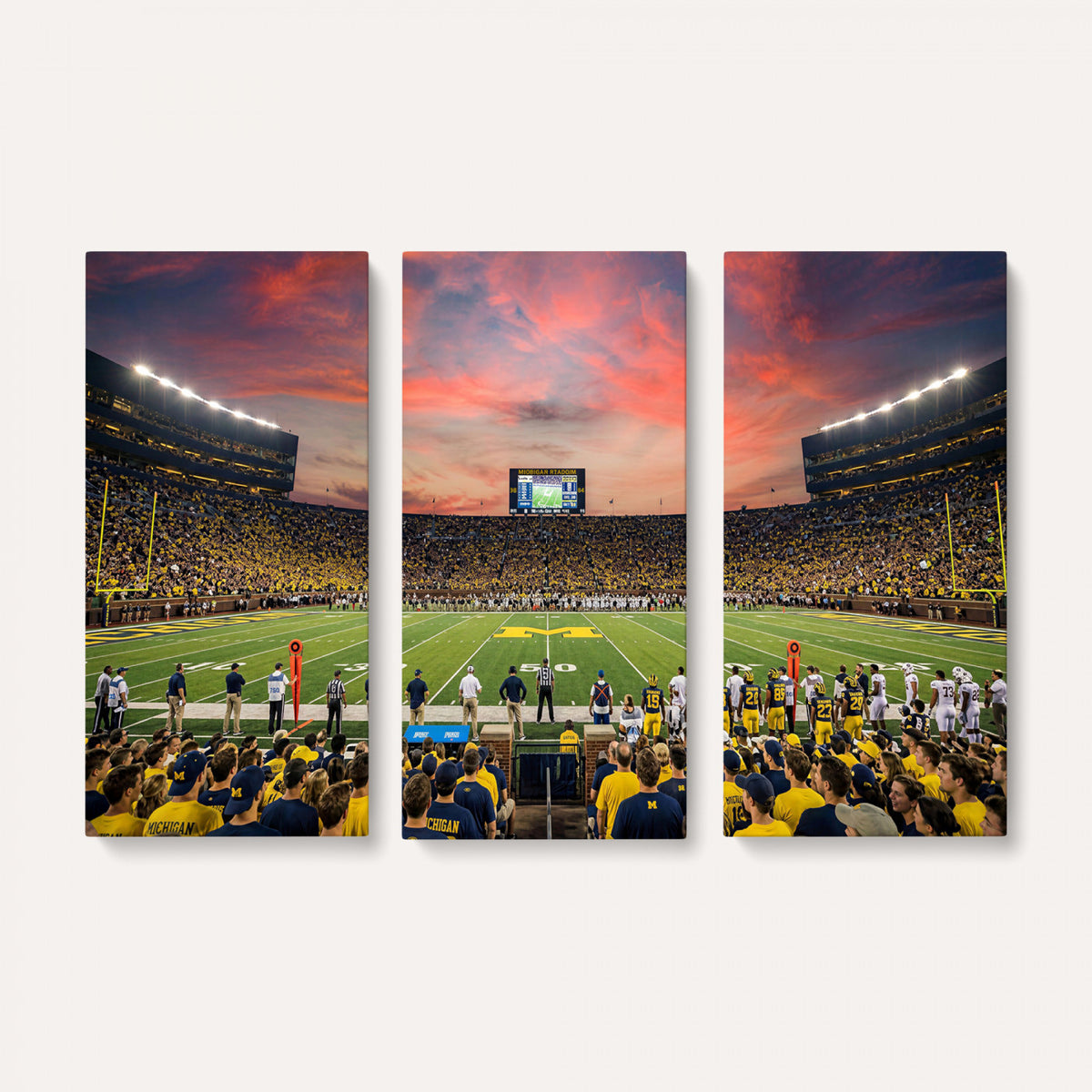 47185949-MGV-CV-36X24 - Stadium Wall Art Canvas Print