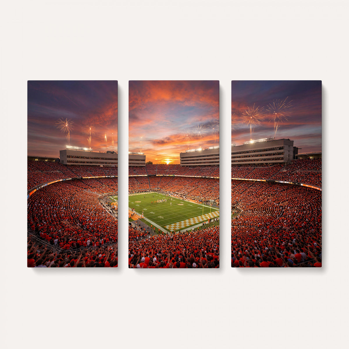 66964685-MGV-CV-36X24 - Stadium Wall Art Canvas Print