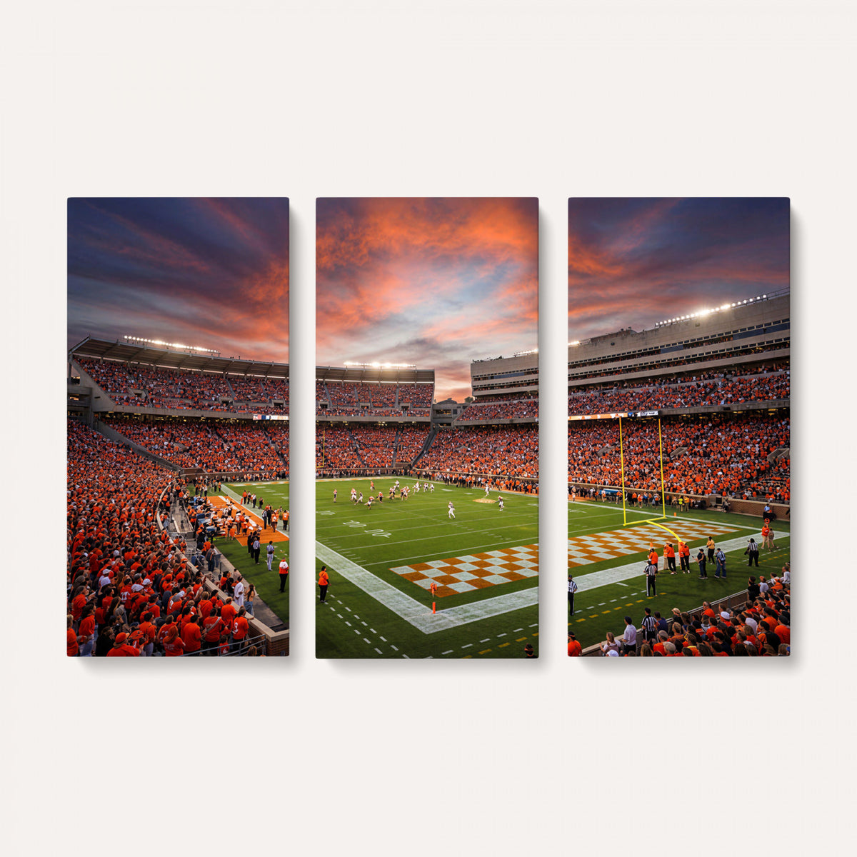67648335-MGV-CV-36X24 - Stadium Wall Art Canvas Print