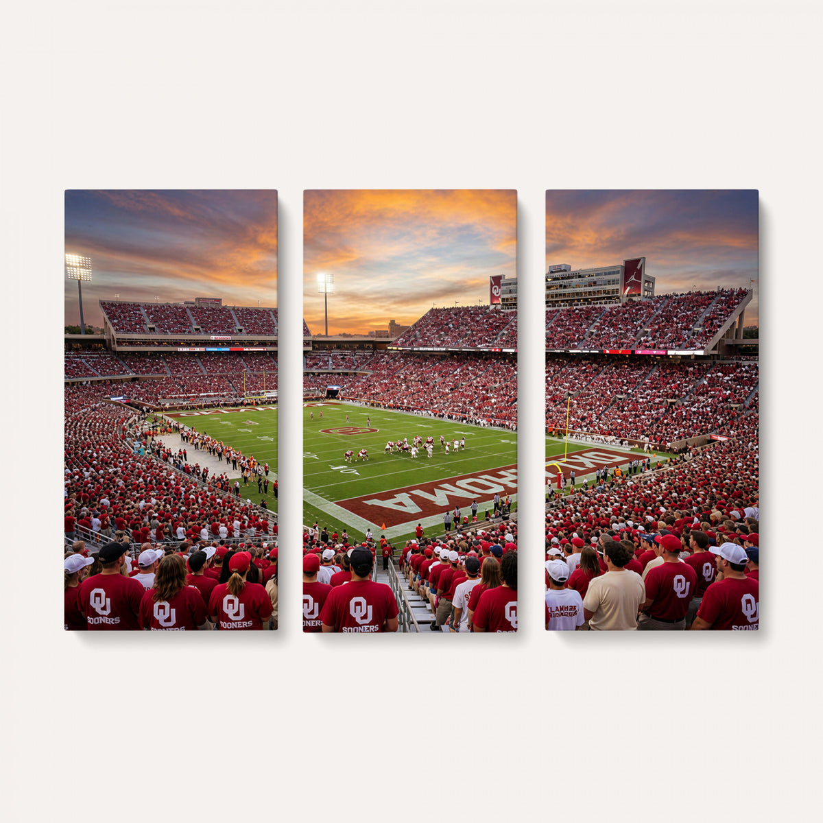 92718741-MGV-CV-36X24 - Stadium Wall Art Canvas Print