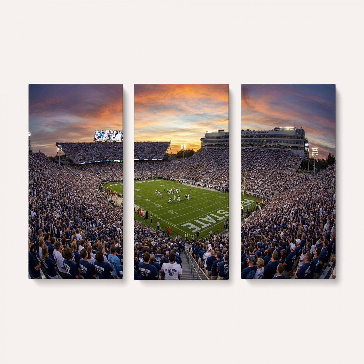 29008668-MGV-CV-36X24 - Stadium Wall Art Canvas Print