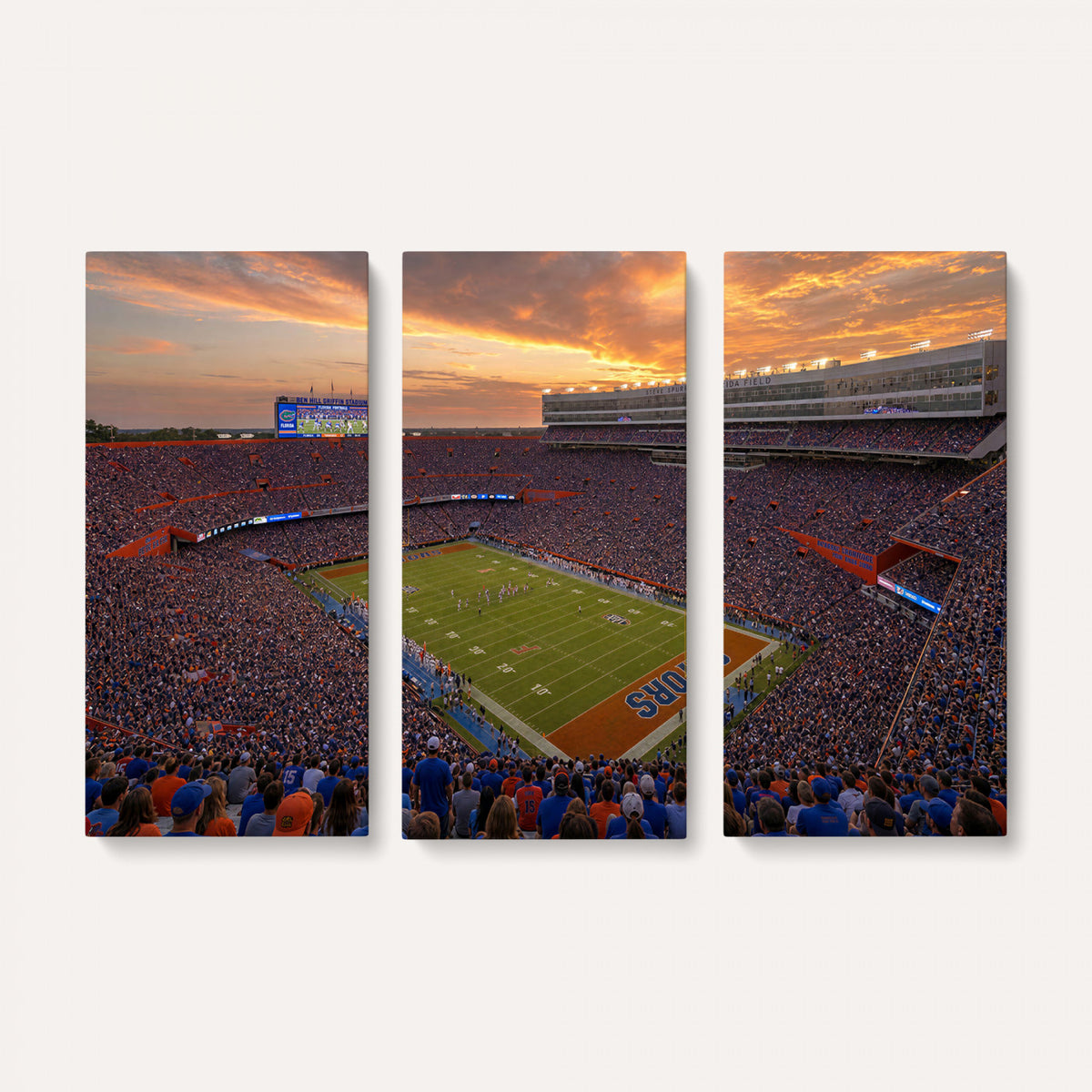 48009171-MGV-CV-36X24 - Stadium Wall Art Canvas Print