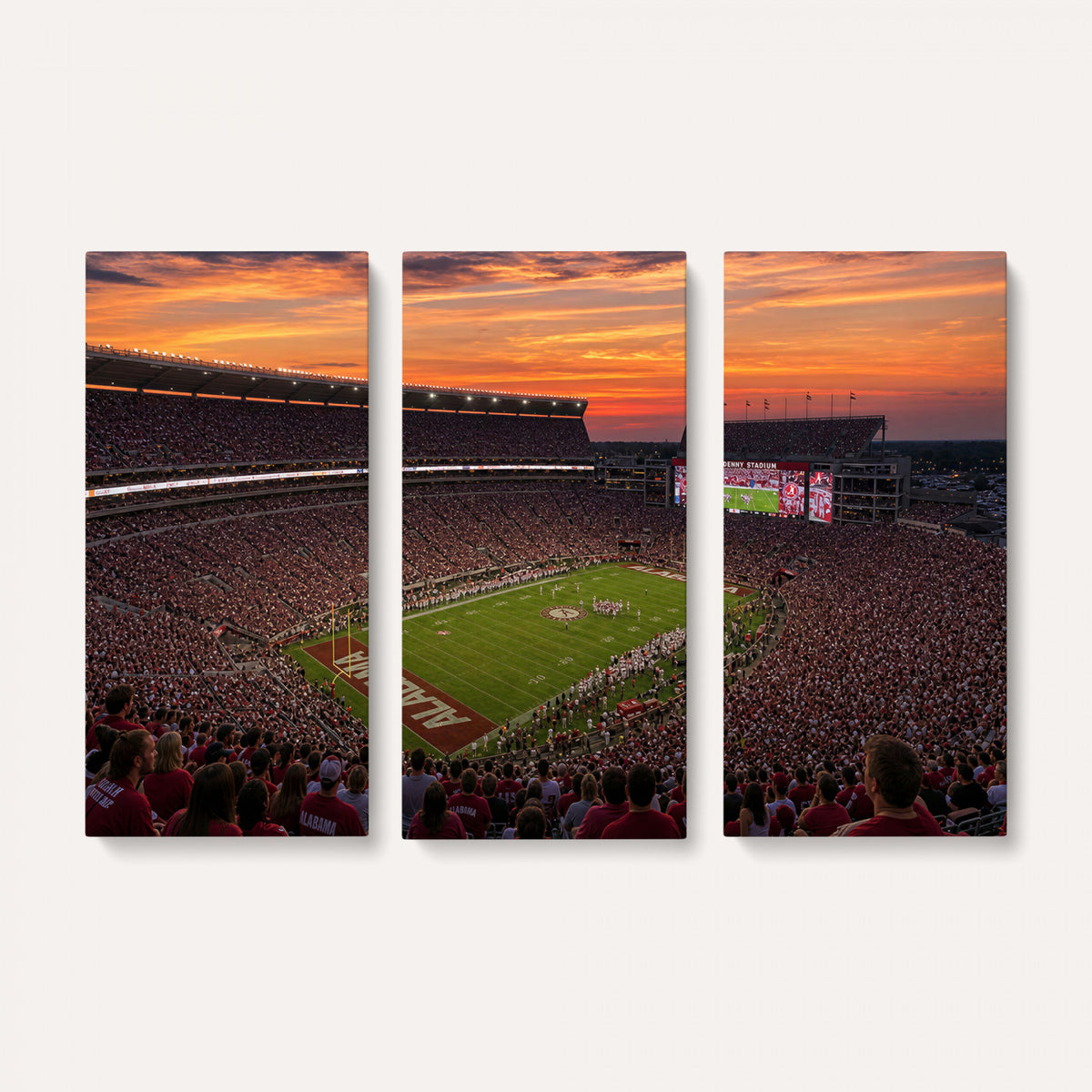 91782096-MGV-CV-36X24 - Stadium Wall Art Canvas Print