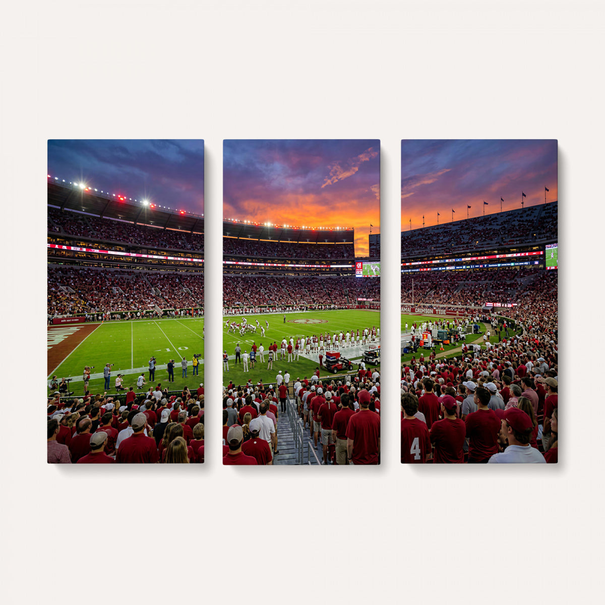 47822048-MGV-CV-36X24 - Stadium Wall Art Canvas Print