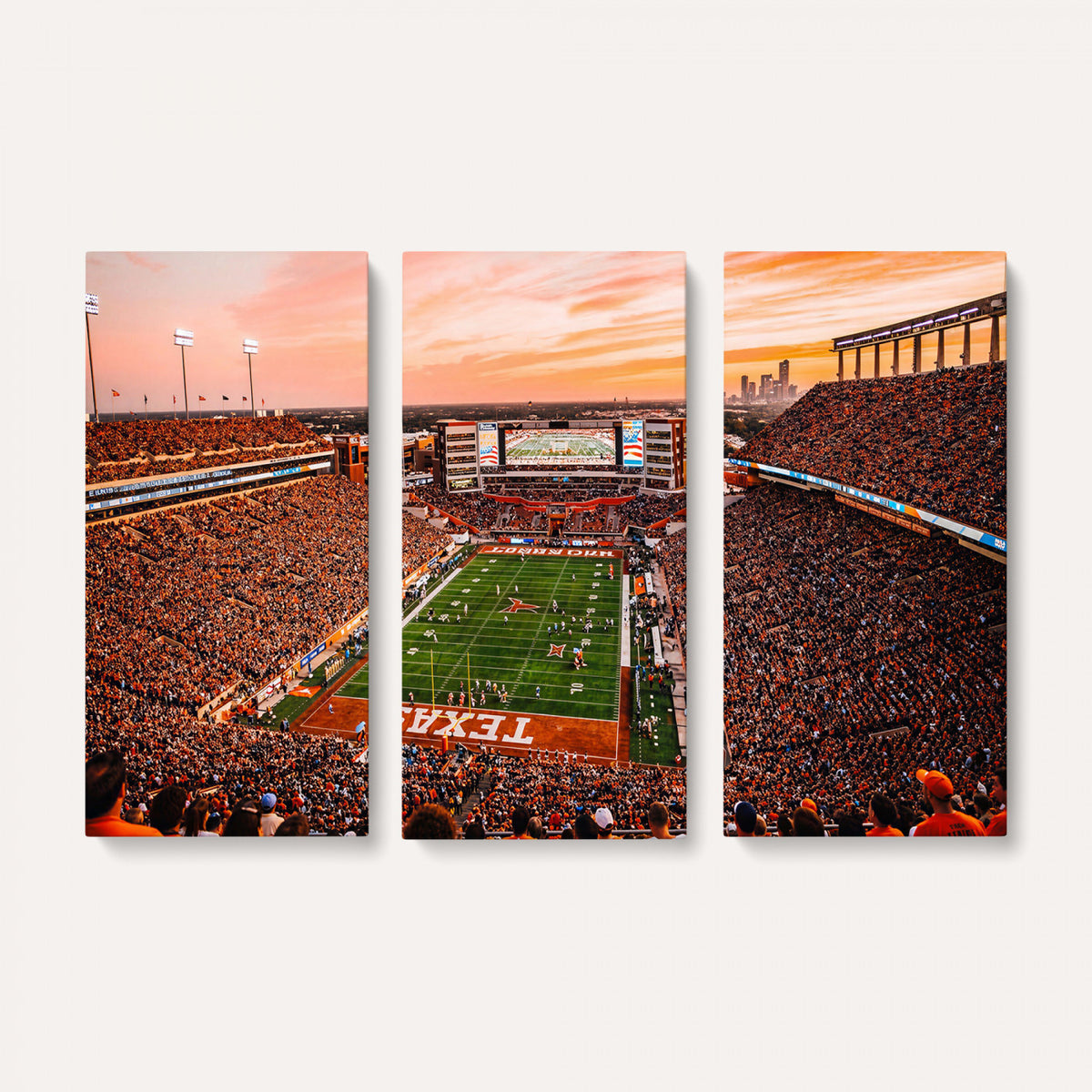 24606043-MGV-CV-36X24 - Stadium Wall Art Canvas Print