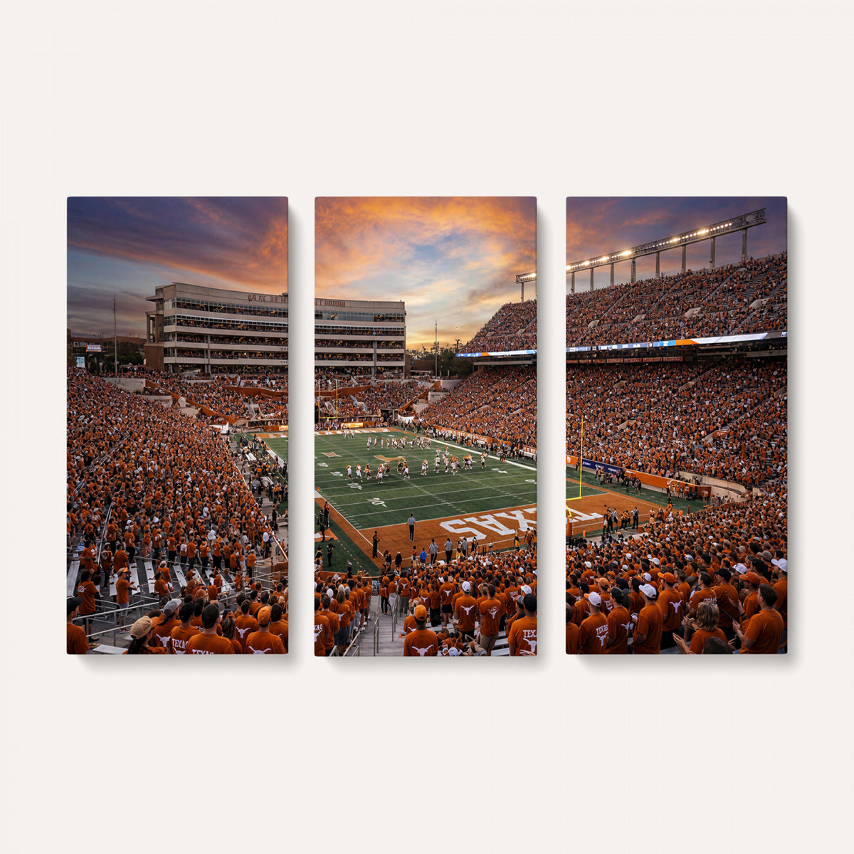 23560699-MGV-CV-36X24 - Stadium Wall Art Canvas Print
