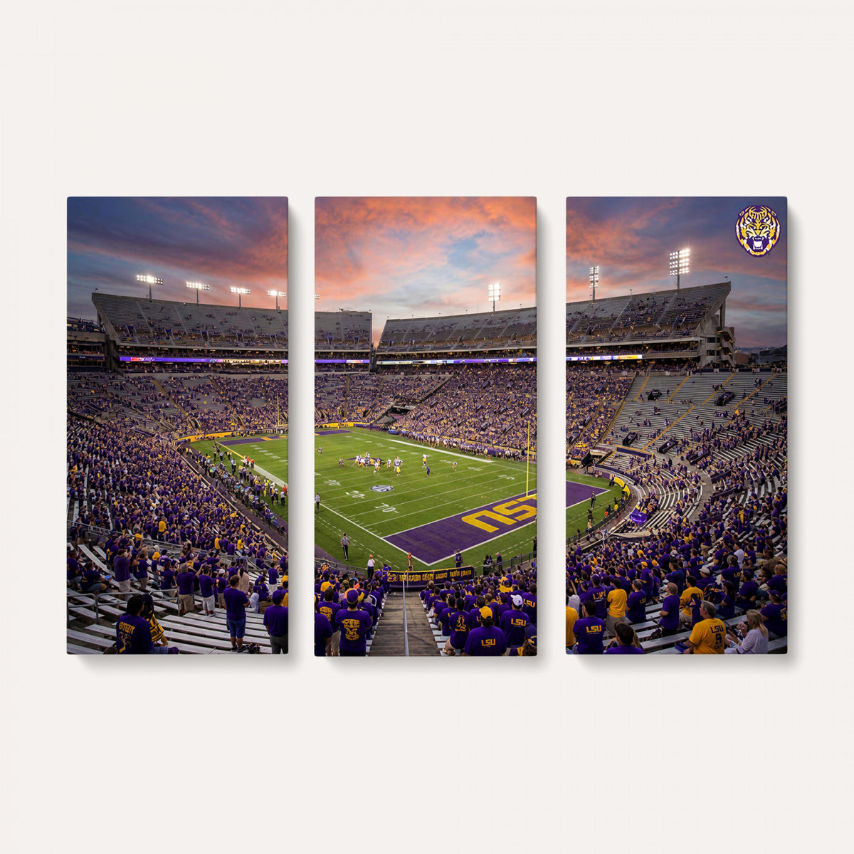 20281385-MGV-CV-36X24 - Stadium Wall Art Canvas Print
