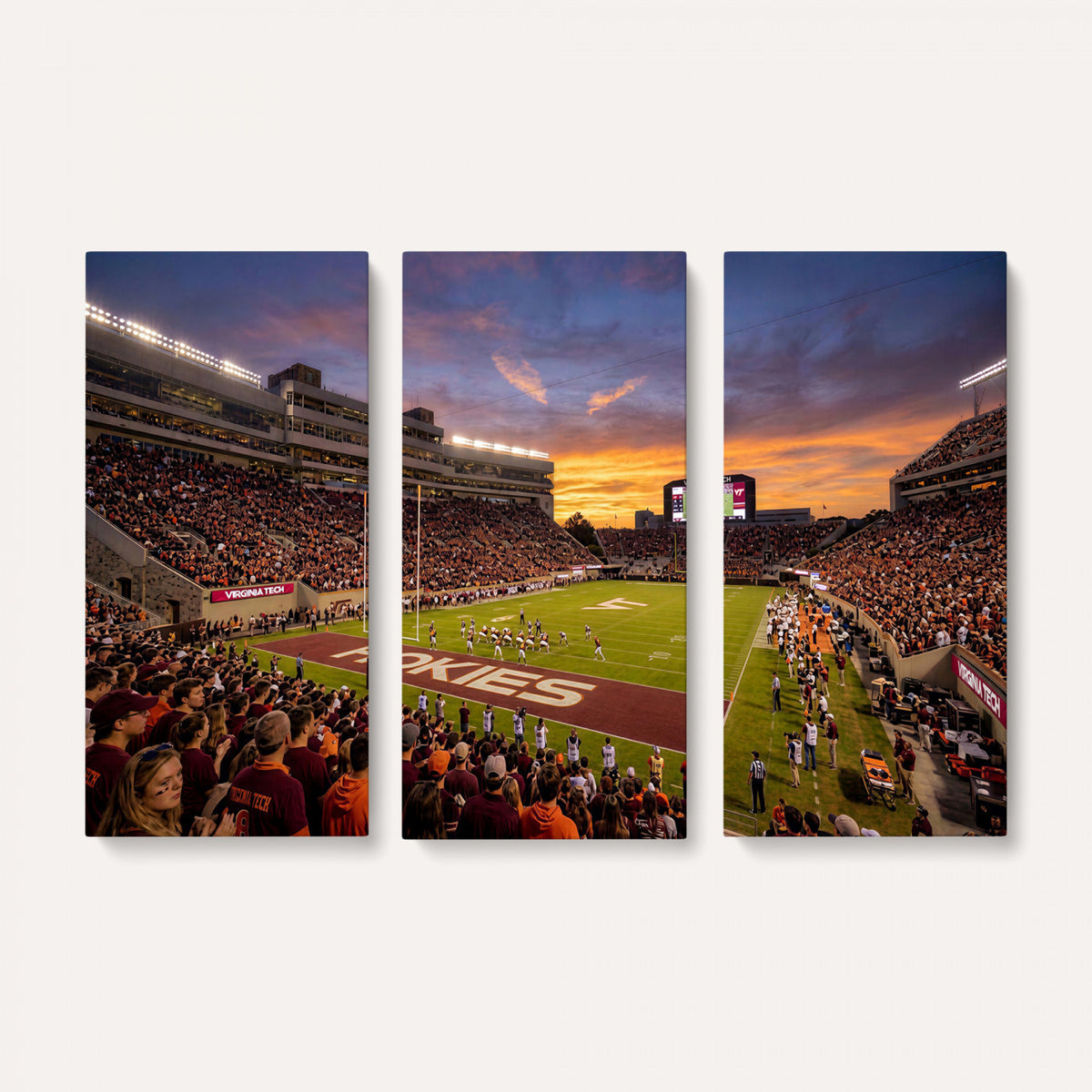 87141841-MGV-CV-36X24 - Stadium Wall Art Canvas Print