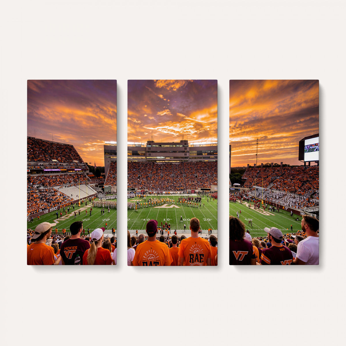 25873880-MGV-CV-36X24 - Stadium Wall Art Canvas Print
