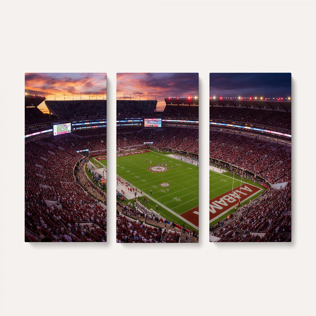 59537492-MGV-CV-36X24 - Stadium Wall Art Canvas Print