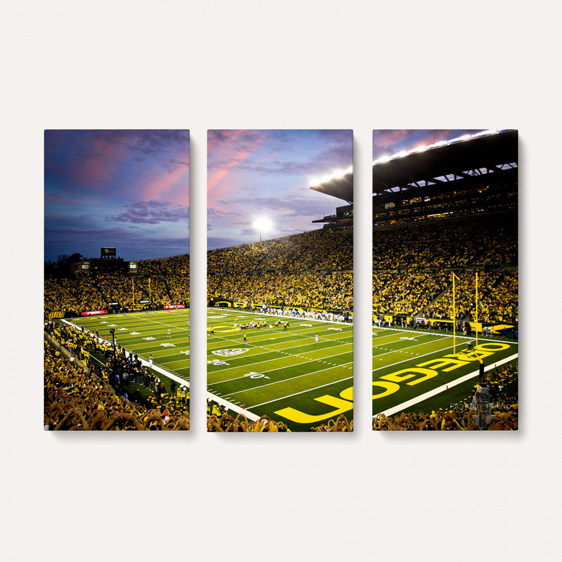 University of Oregon Ducks Football Team Print, Eugene, Framed and Ready to Hang